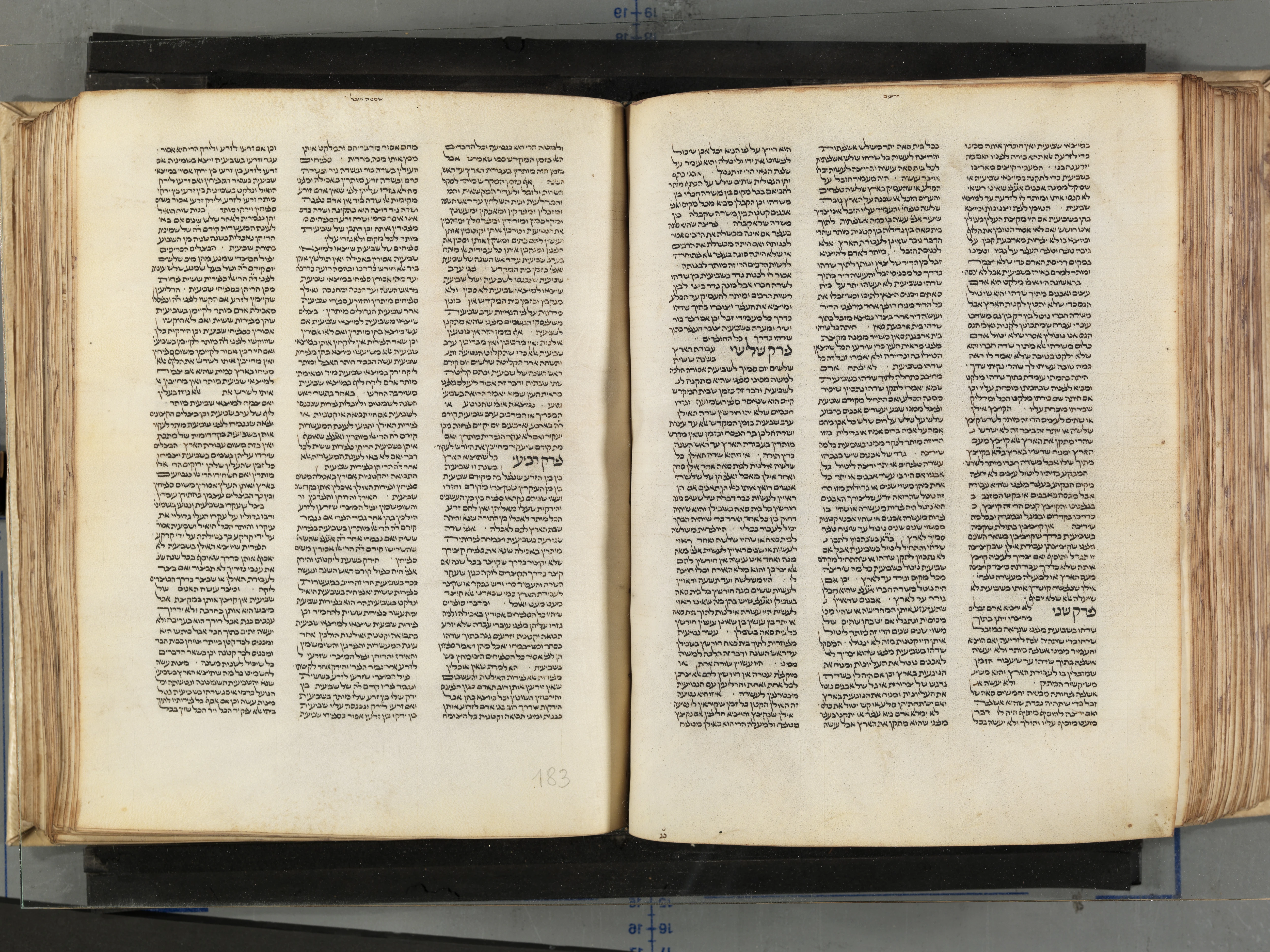 Image of item, e.g. a manuscript page