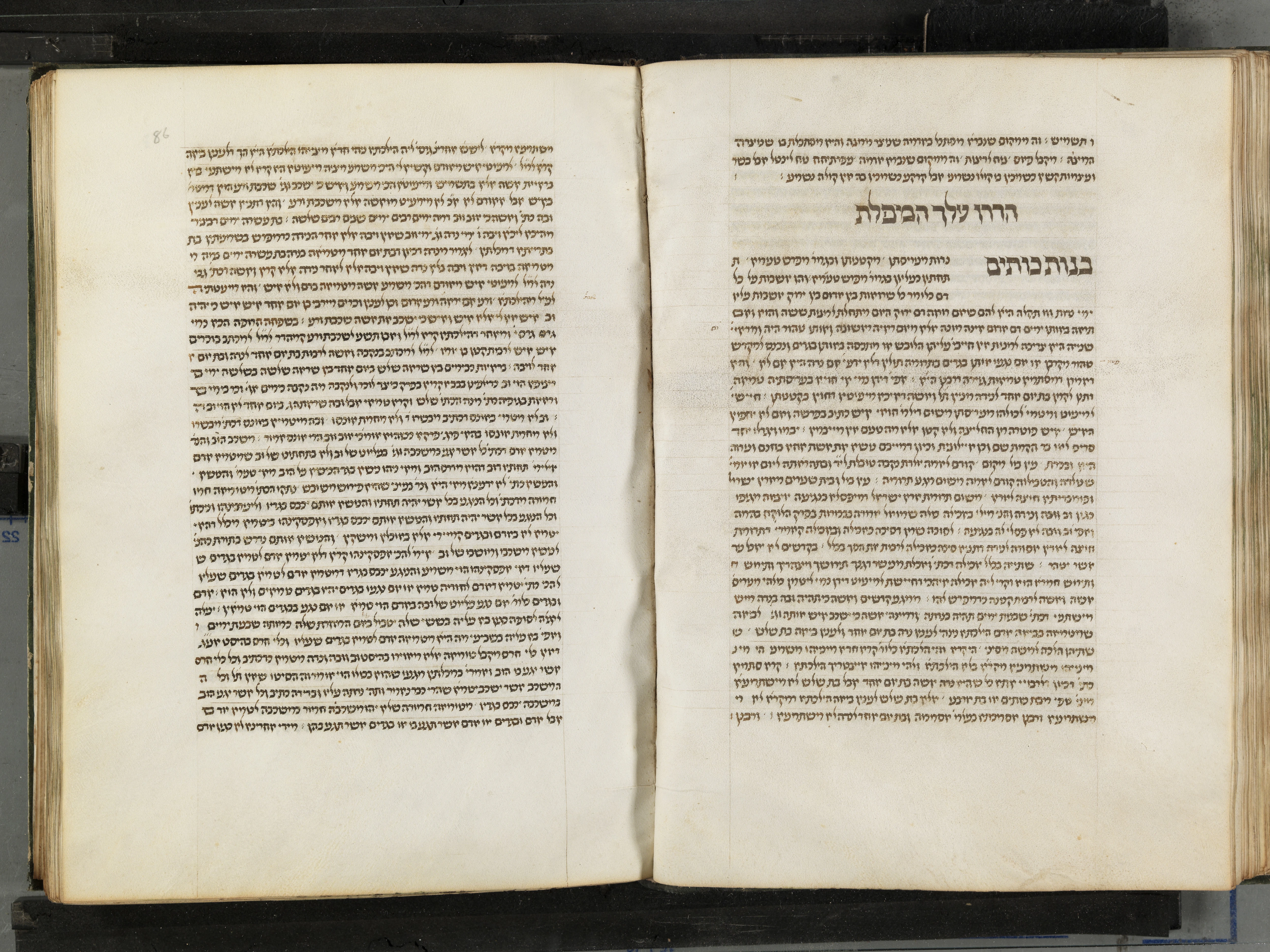 Image of item, e.g. a manuscript page
