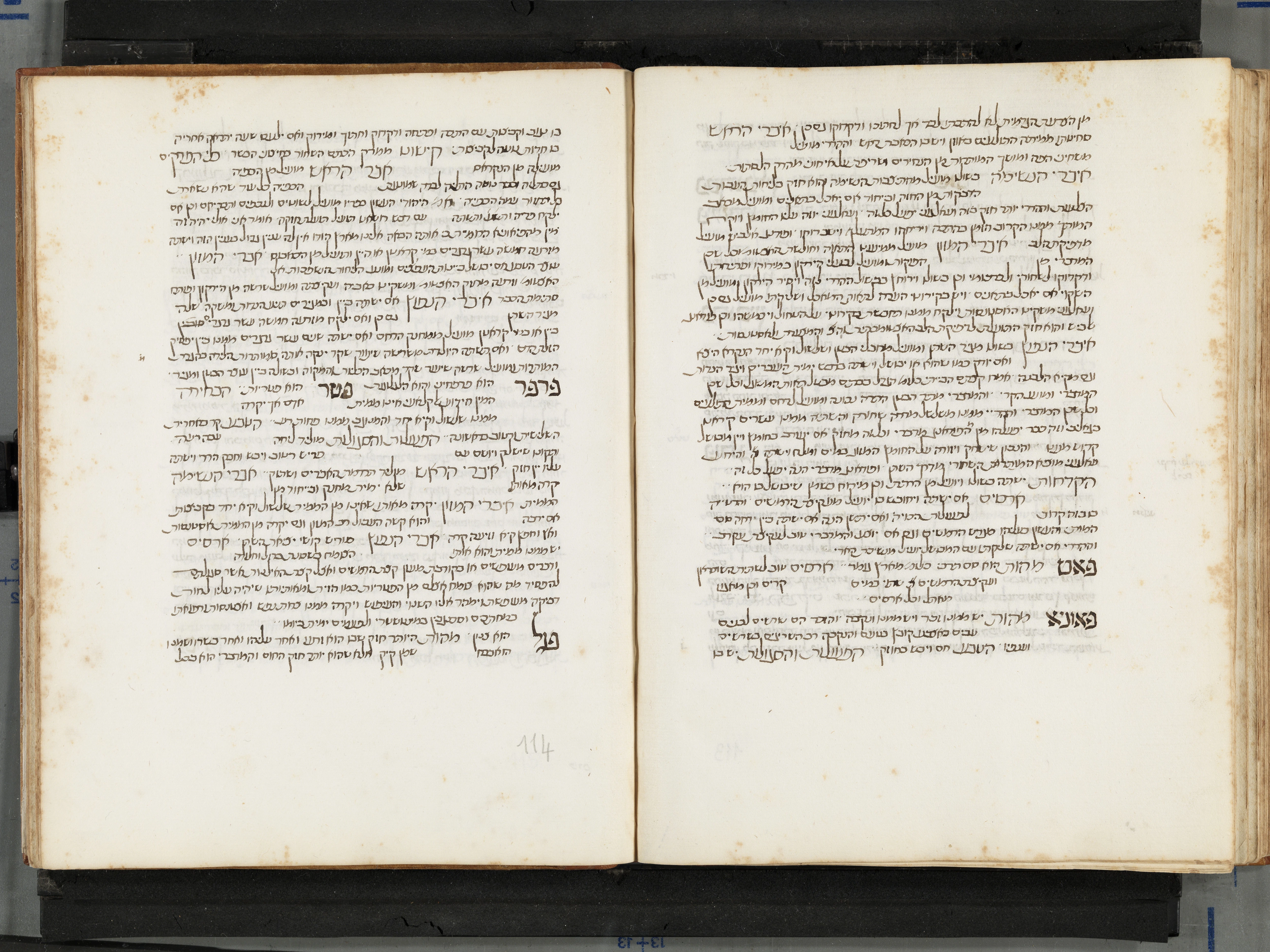 Image of item, e.g. a manuscript page