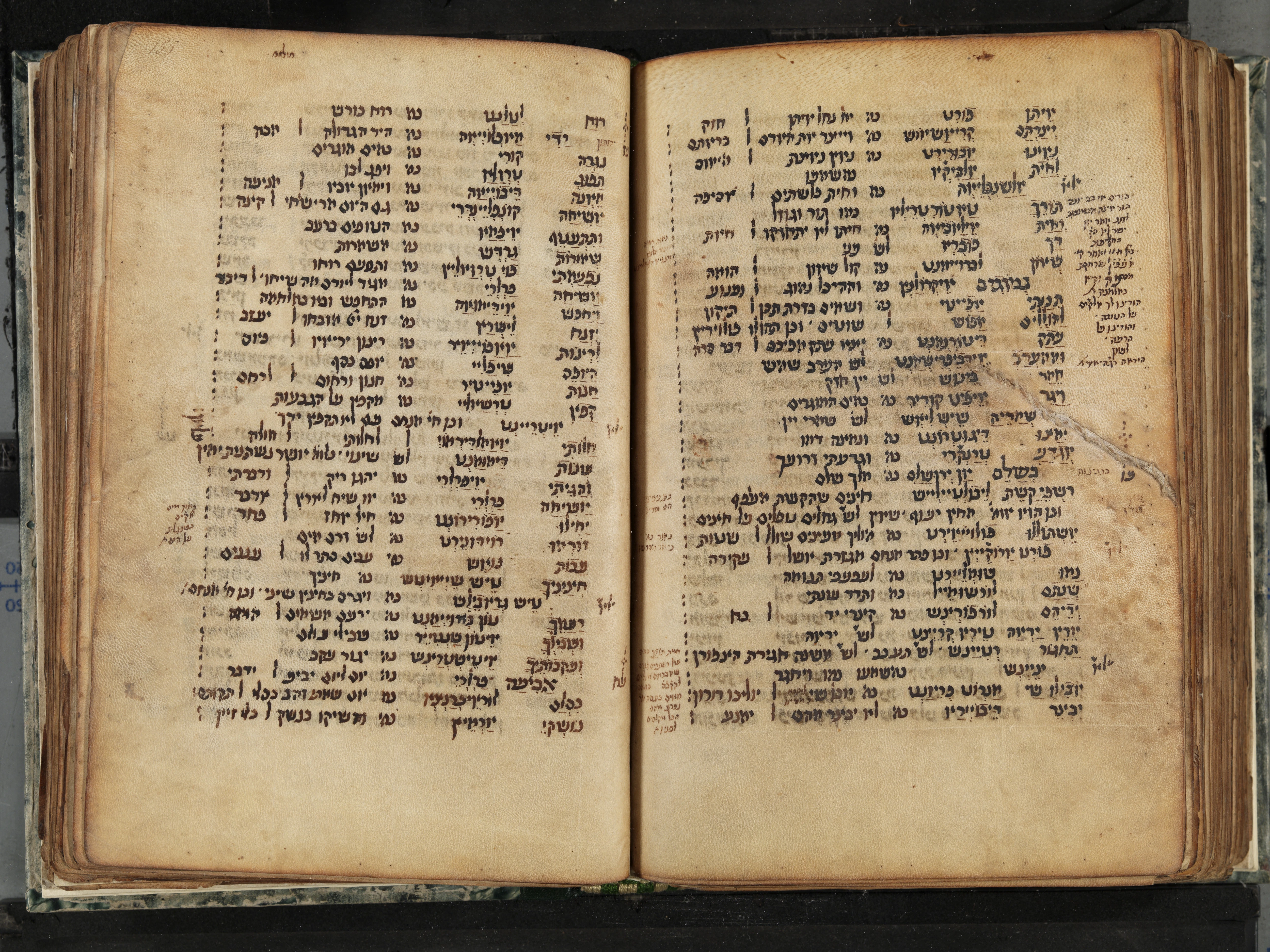 Image of item, e.g. a manuscript page