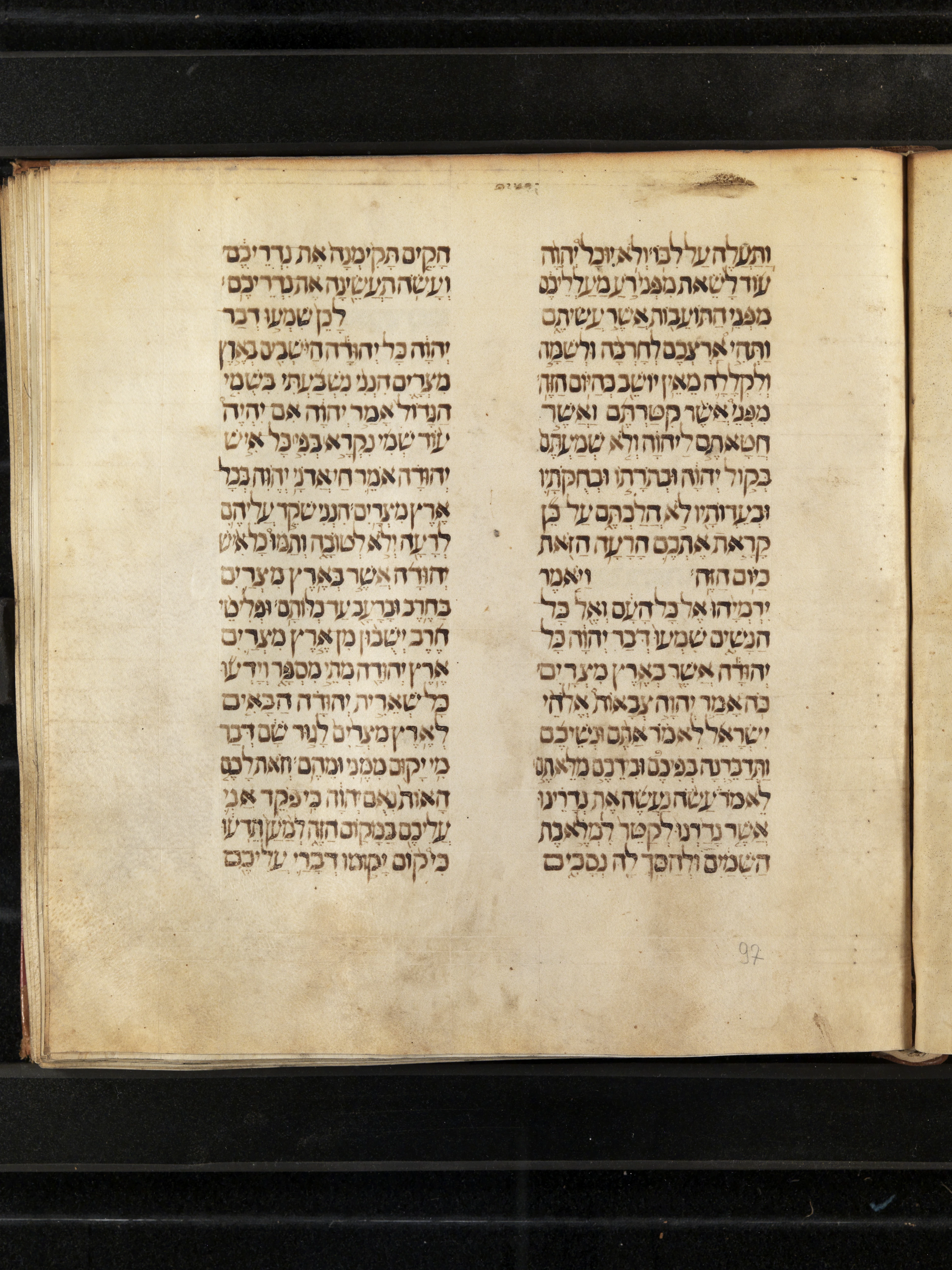 Image of item, e.g. a manuscript page