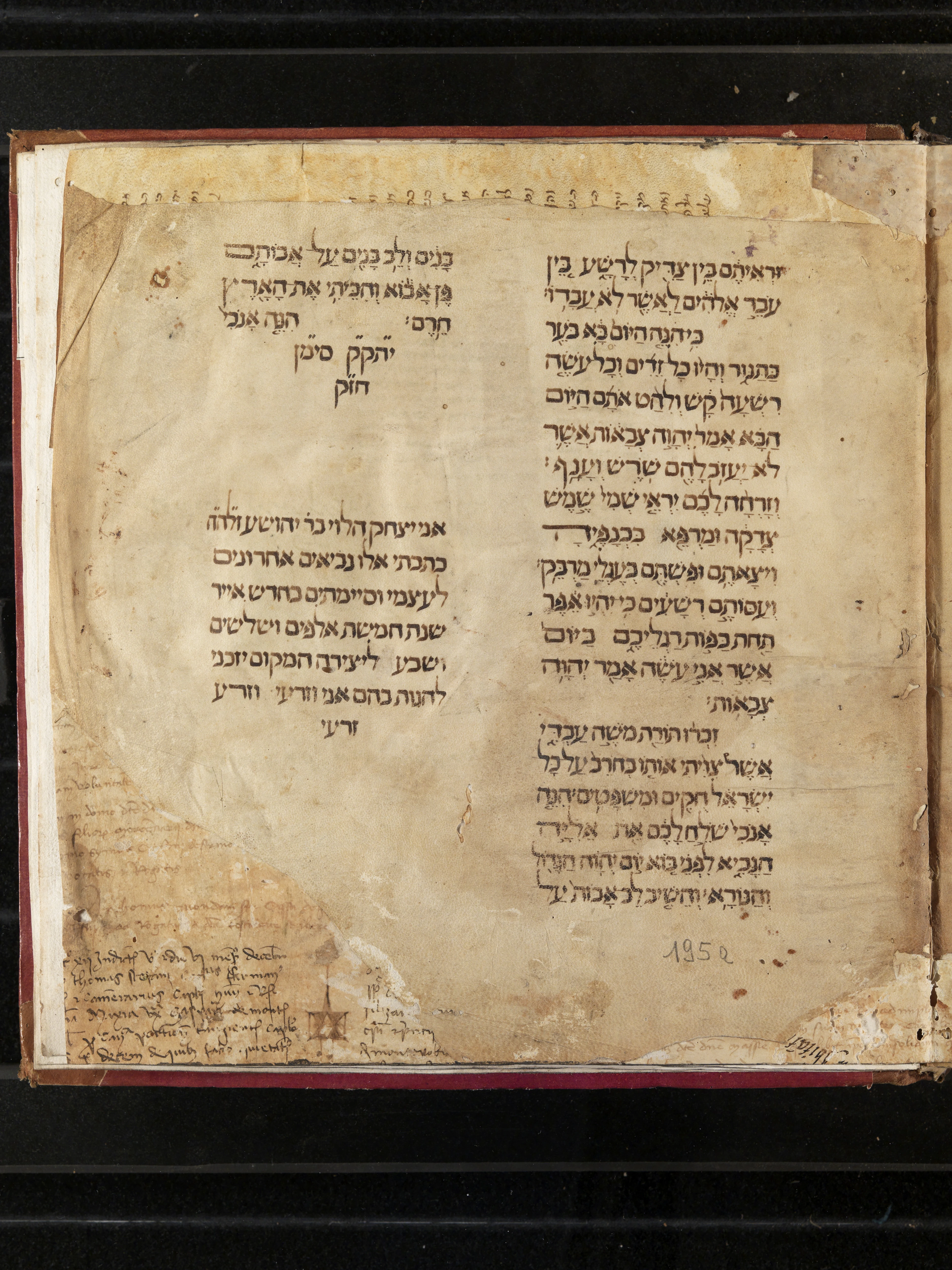 Image of item, e.g. a manuscript page
