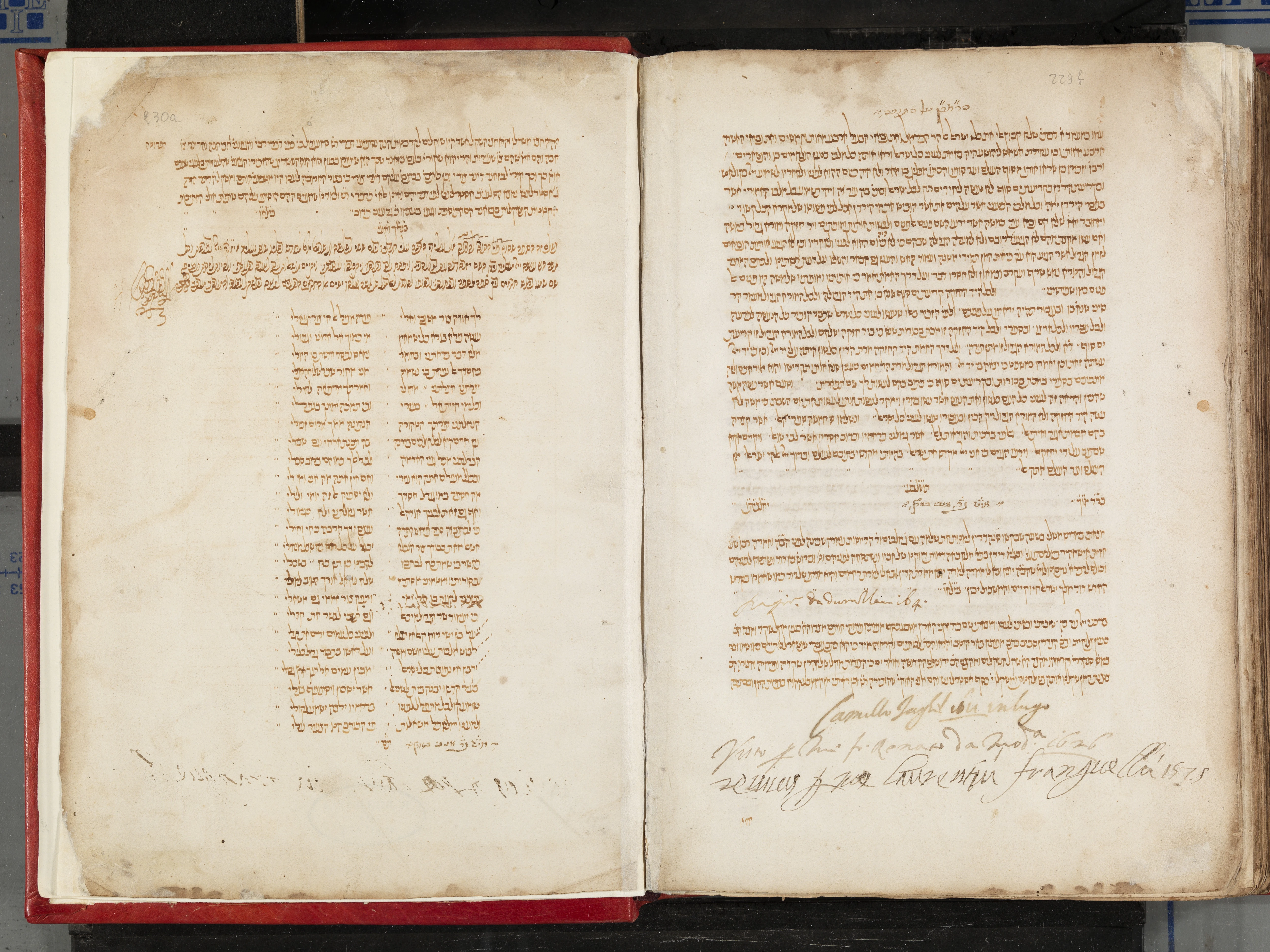 Image of item, e.g. a manuscript page