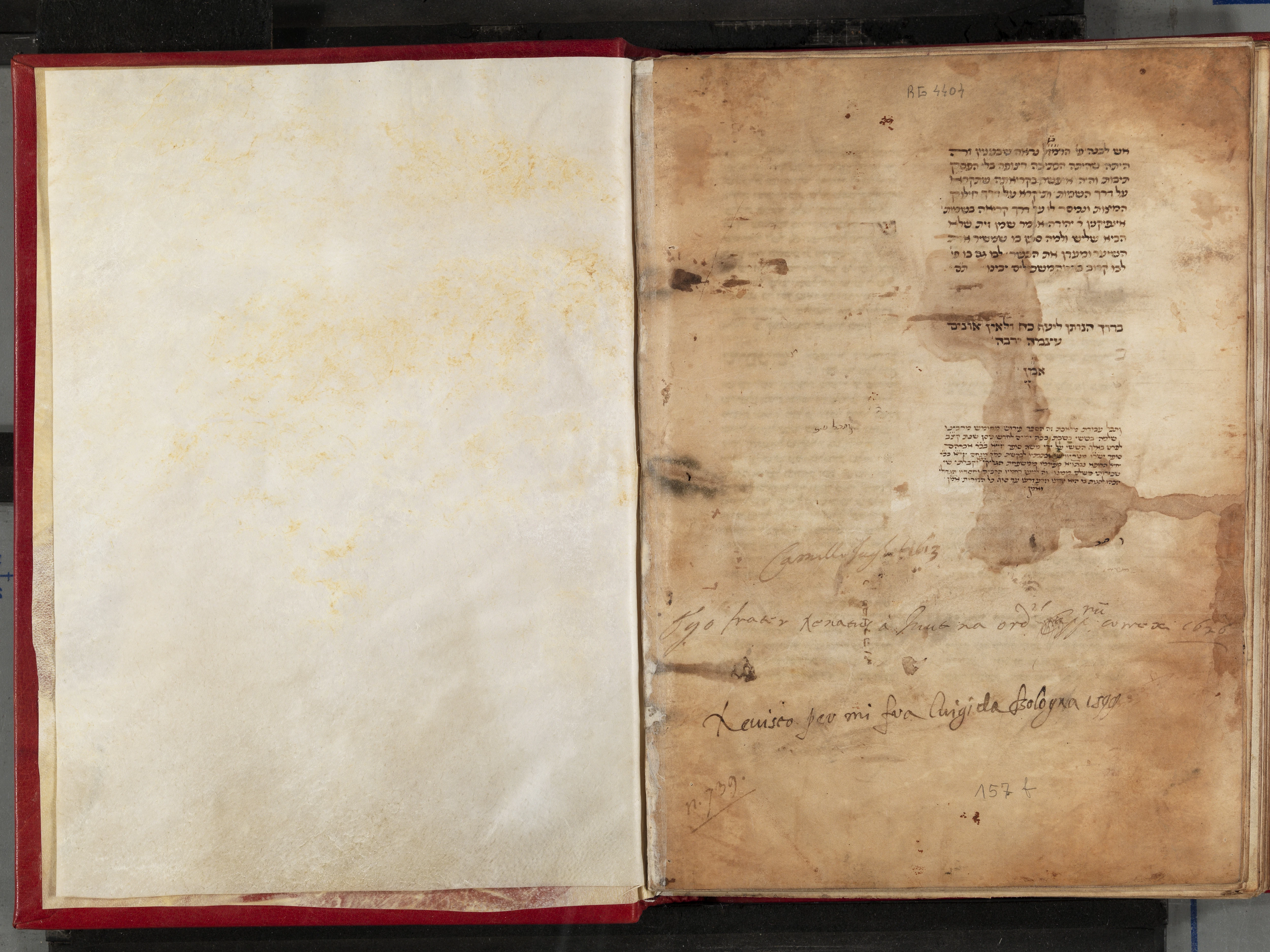Image of item, e.g. a manuscript page