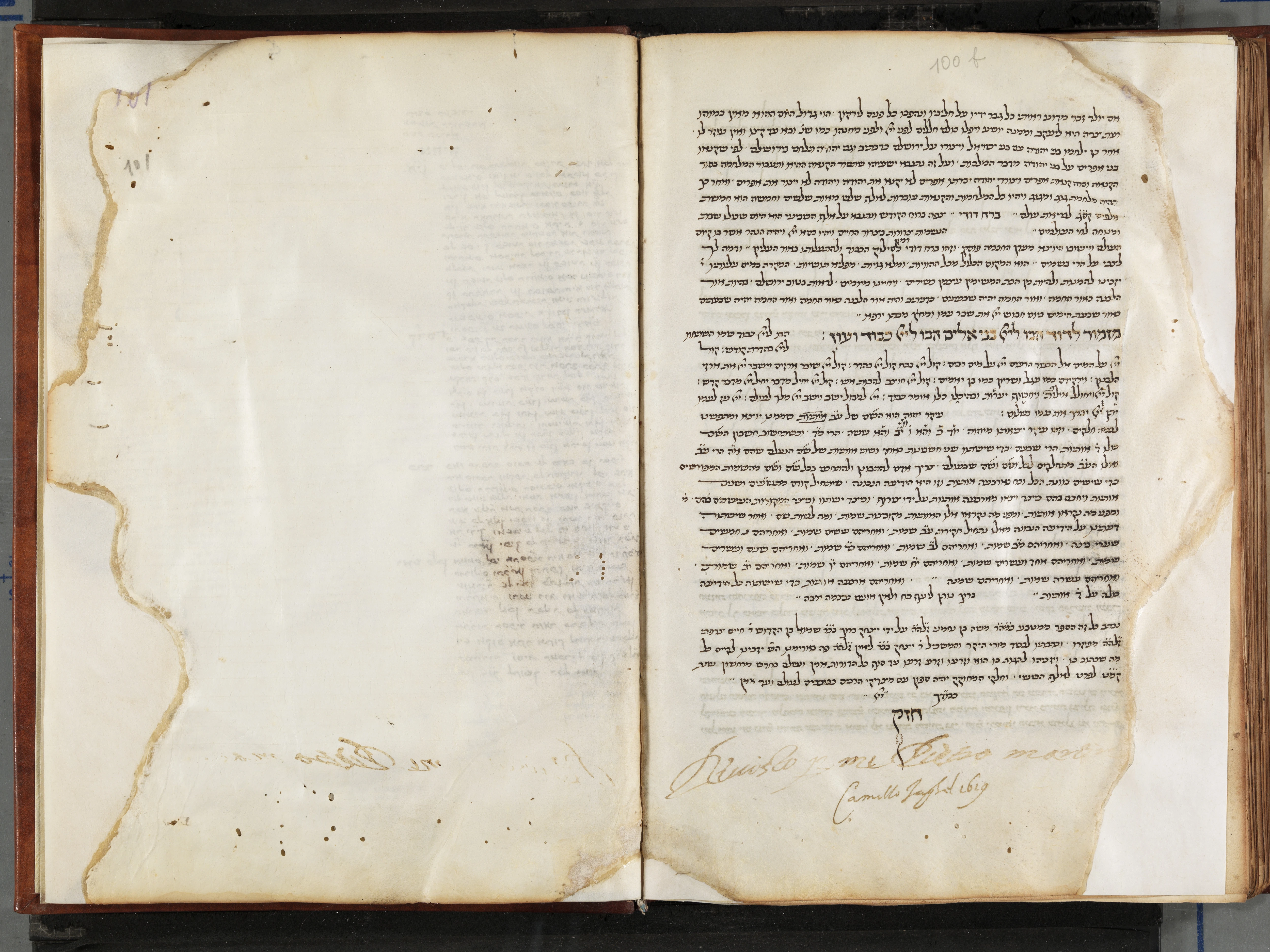 Image of item, e.g. a manuscript page