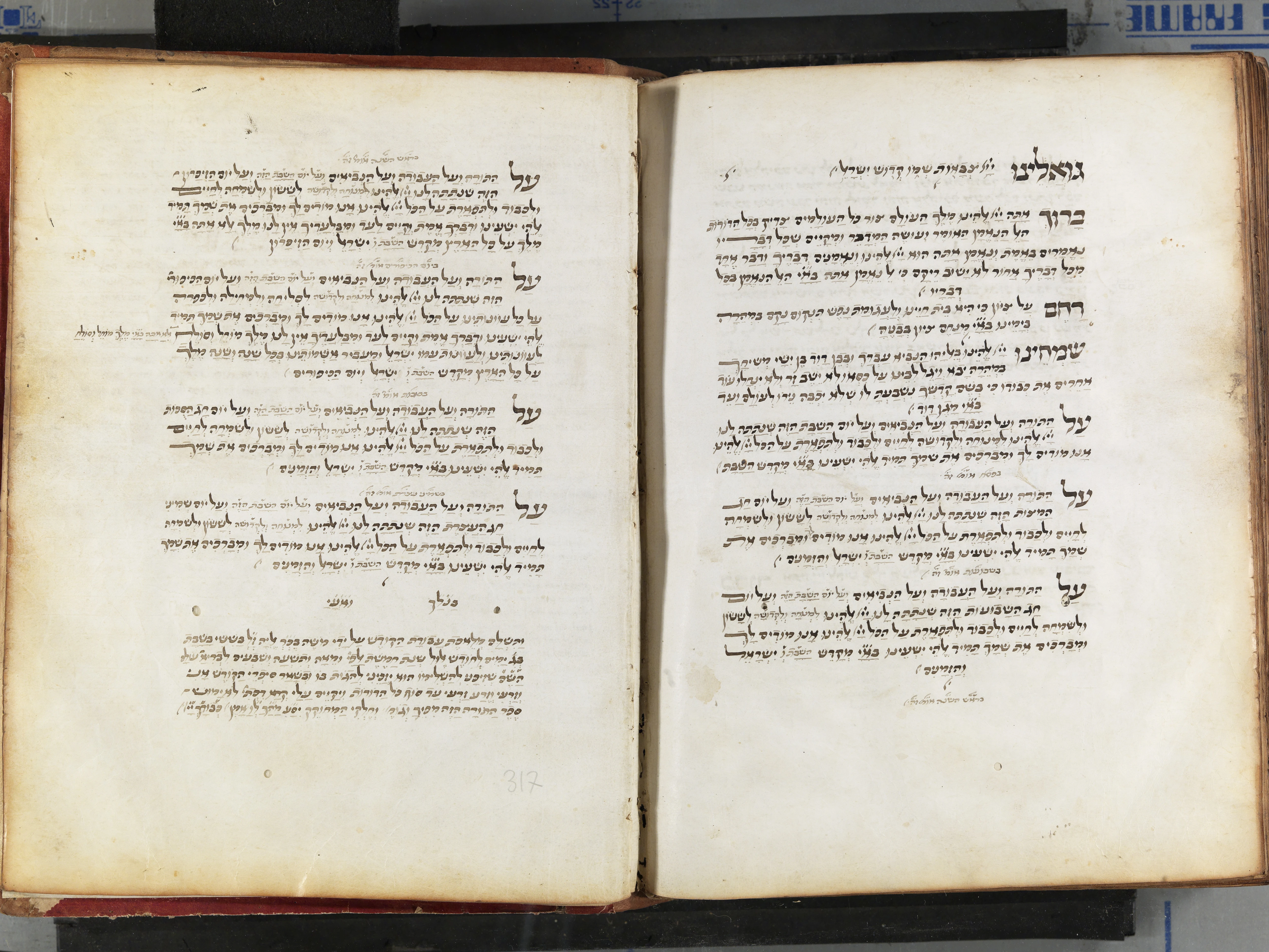 Image of item, e.g. a manuscript page