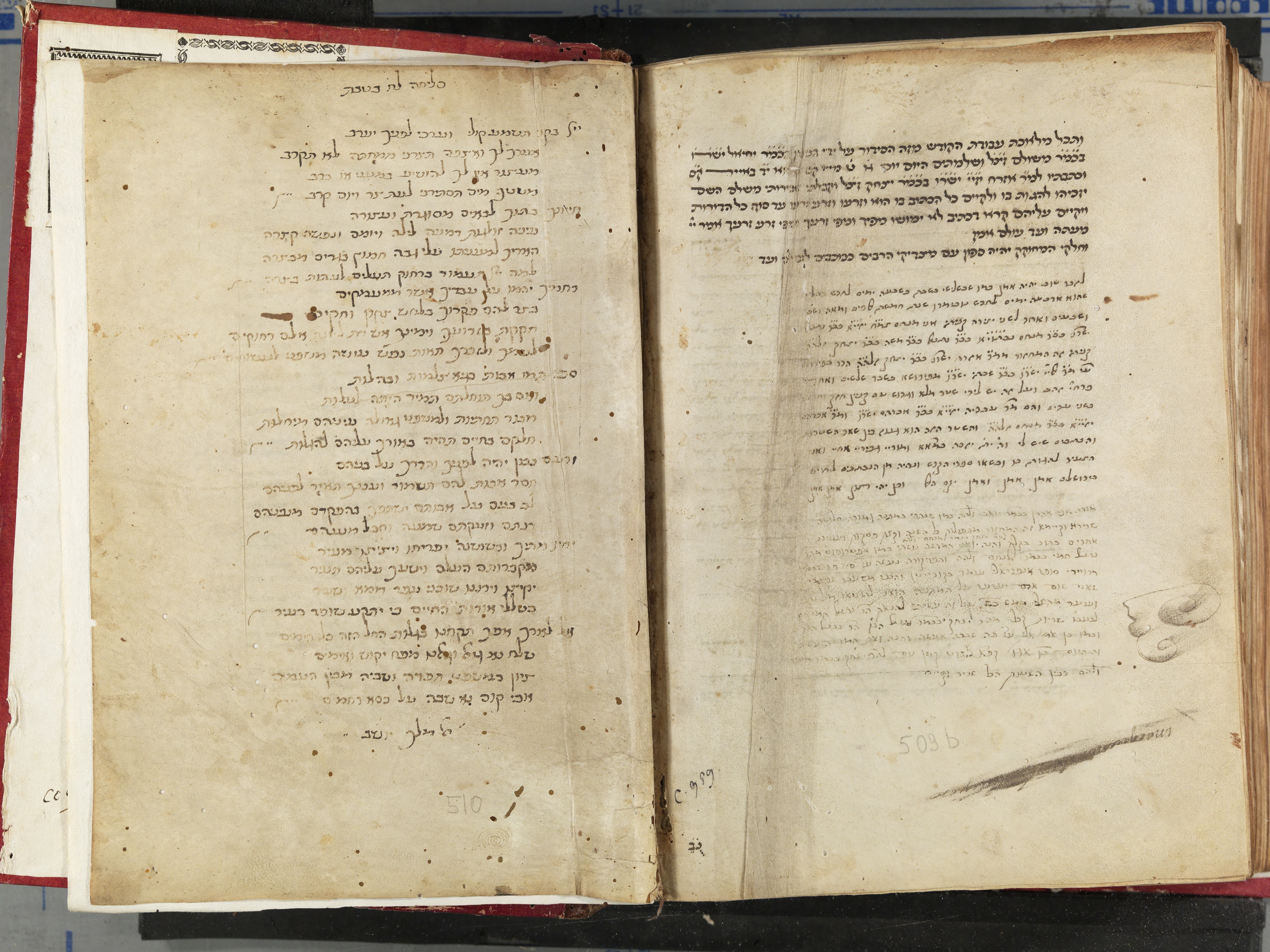 Image of item, e.g. a manuscript page