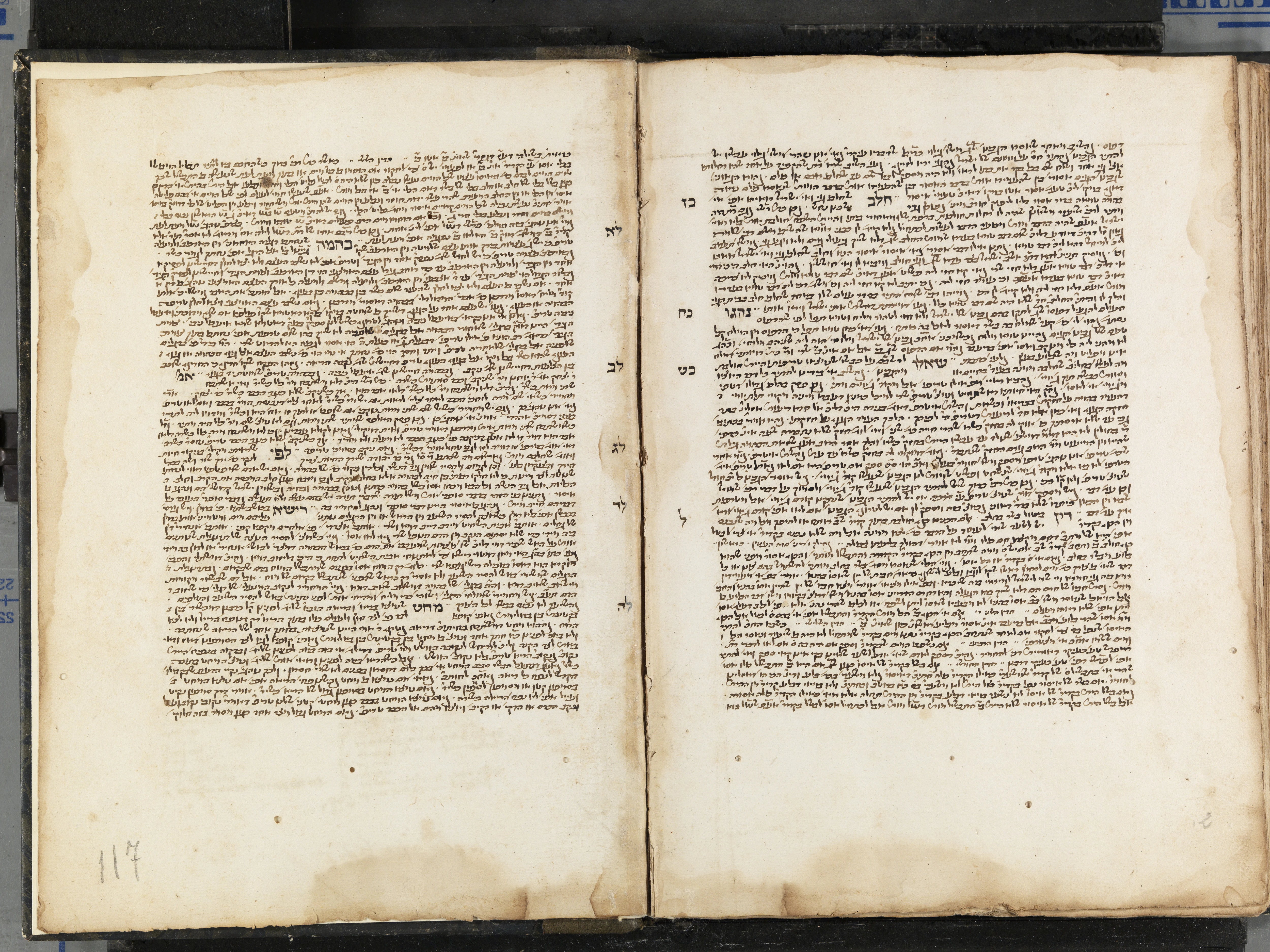 Image of item, e.g. a manuscript page