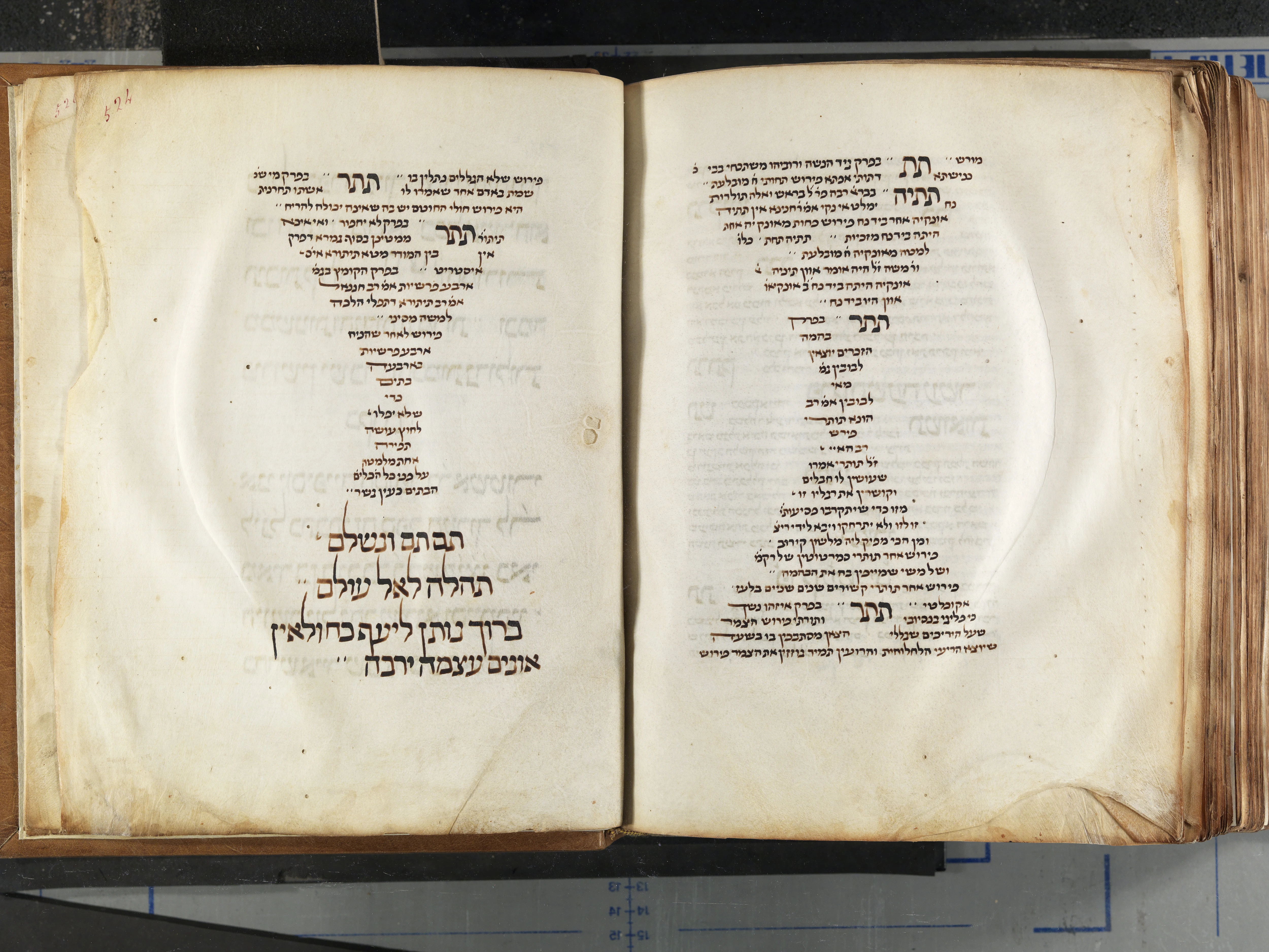 Image of item, e.g. a manuscript page