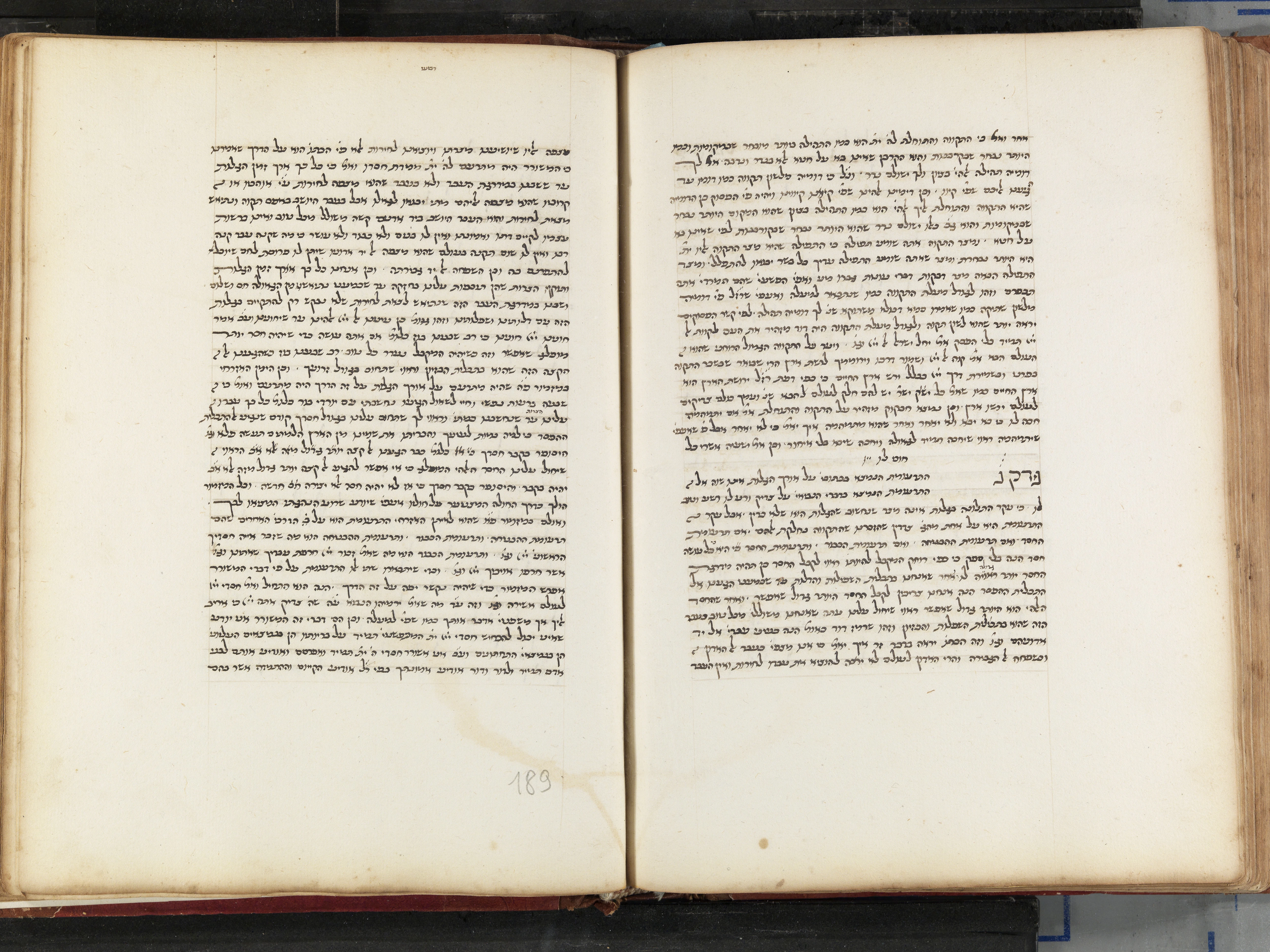 Image of item, e.g. a manuscript page