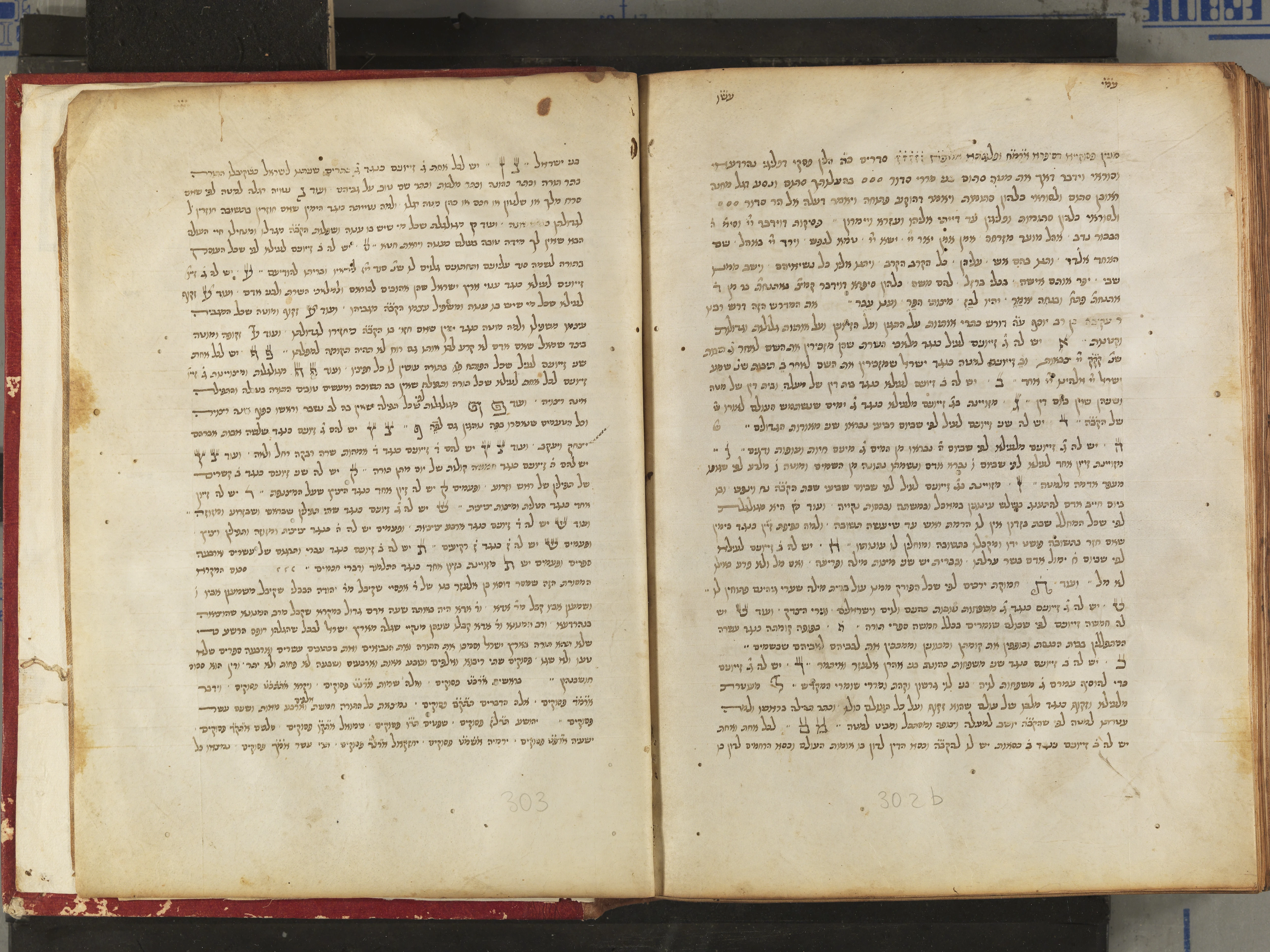 Image of item, e.g. a manuscript page