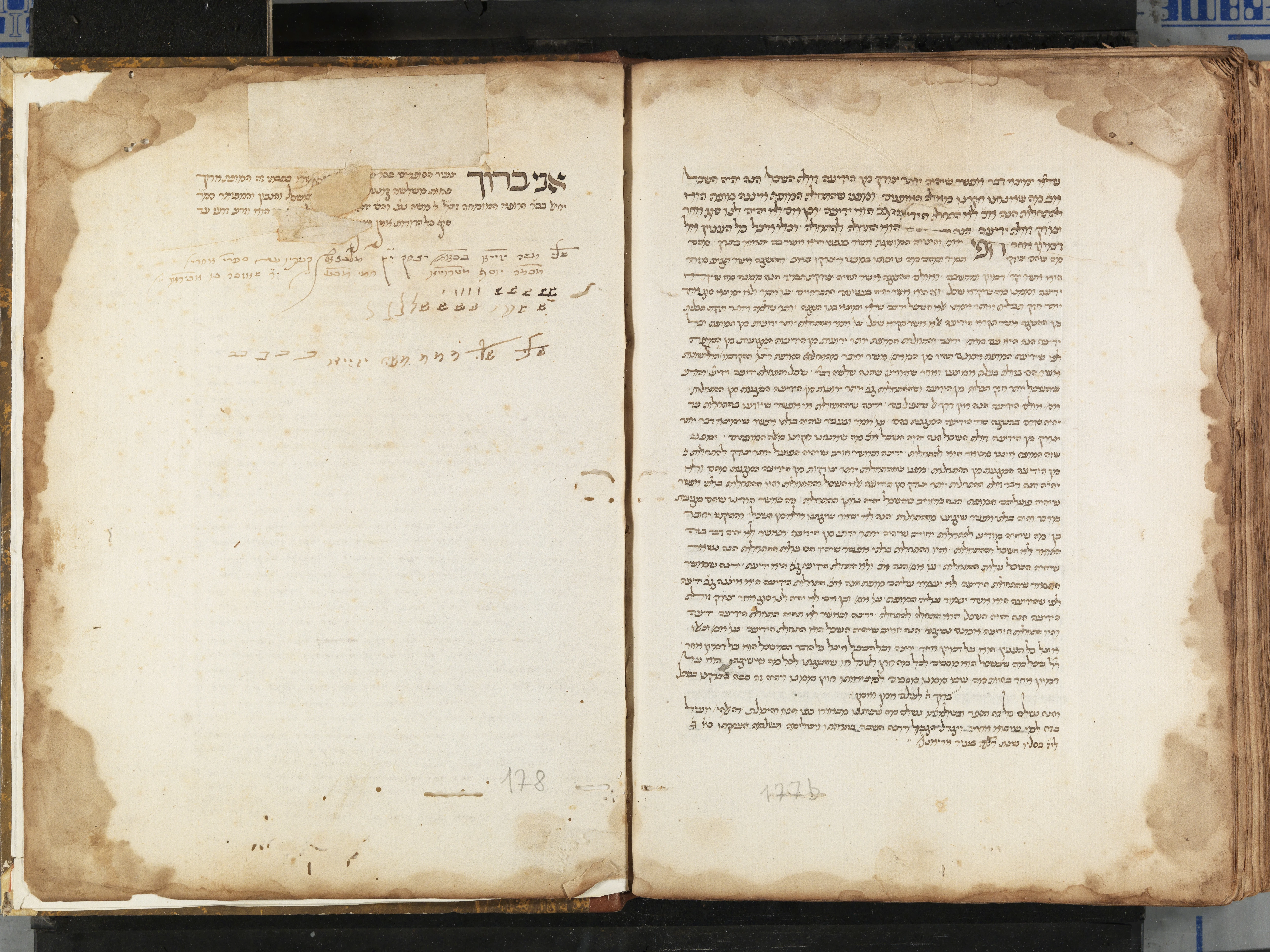 Image of item, e.g. a manuscript page