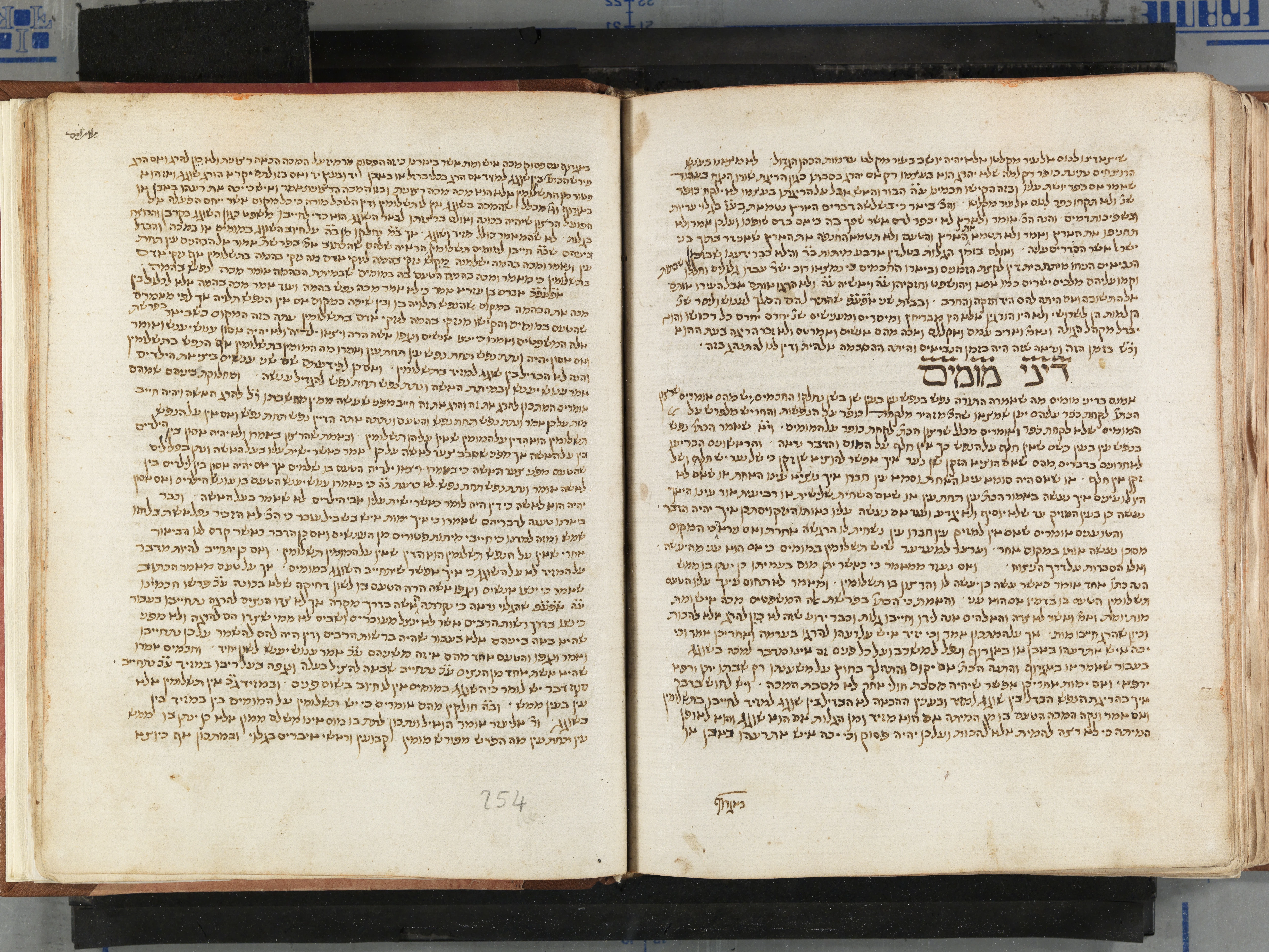 Image of item, e.g. a manuscript page