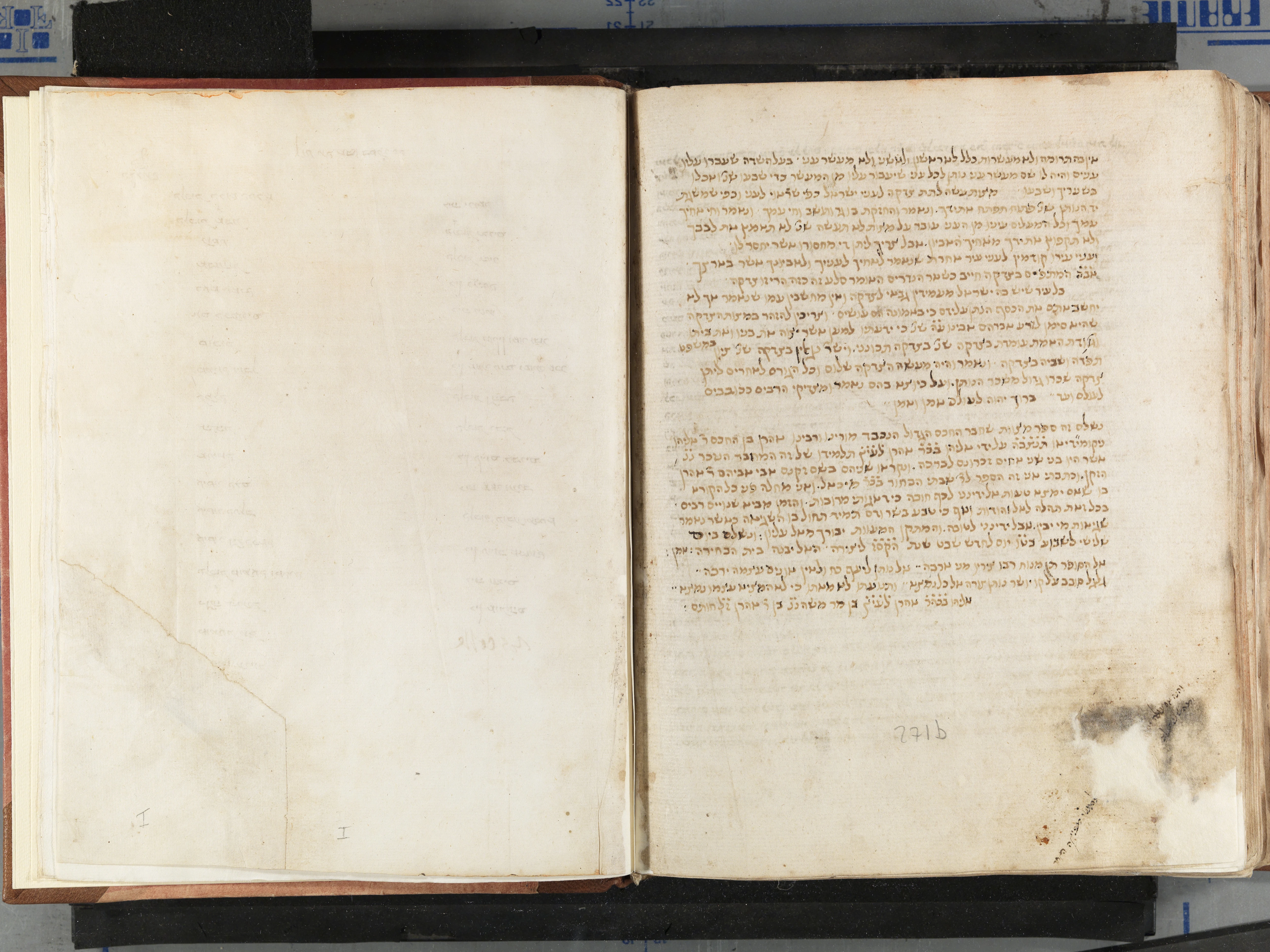 Image of item, e.g. a manuscript page