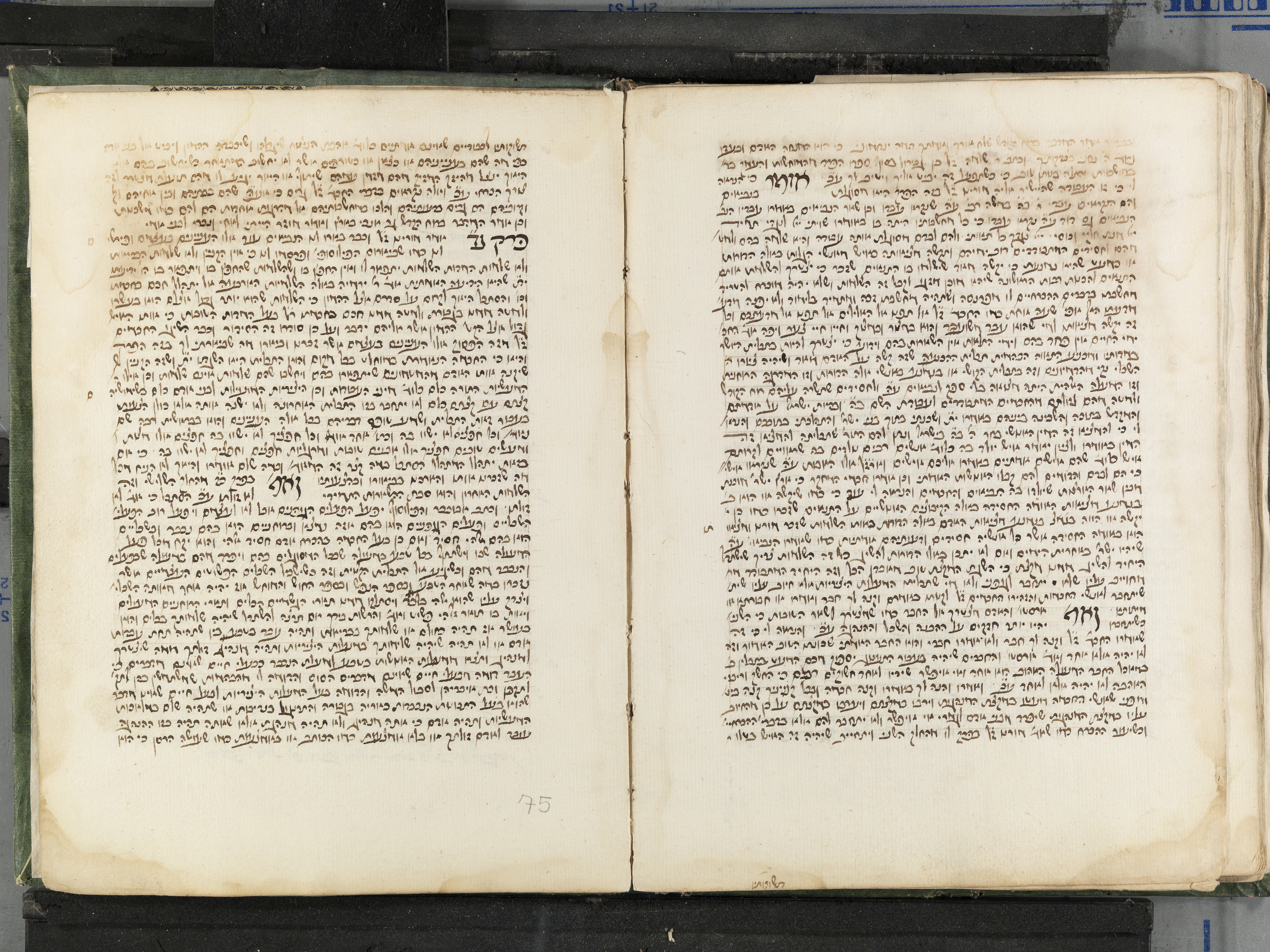 Image of item, e.g. a manuscript page