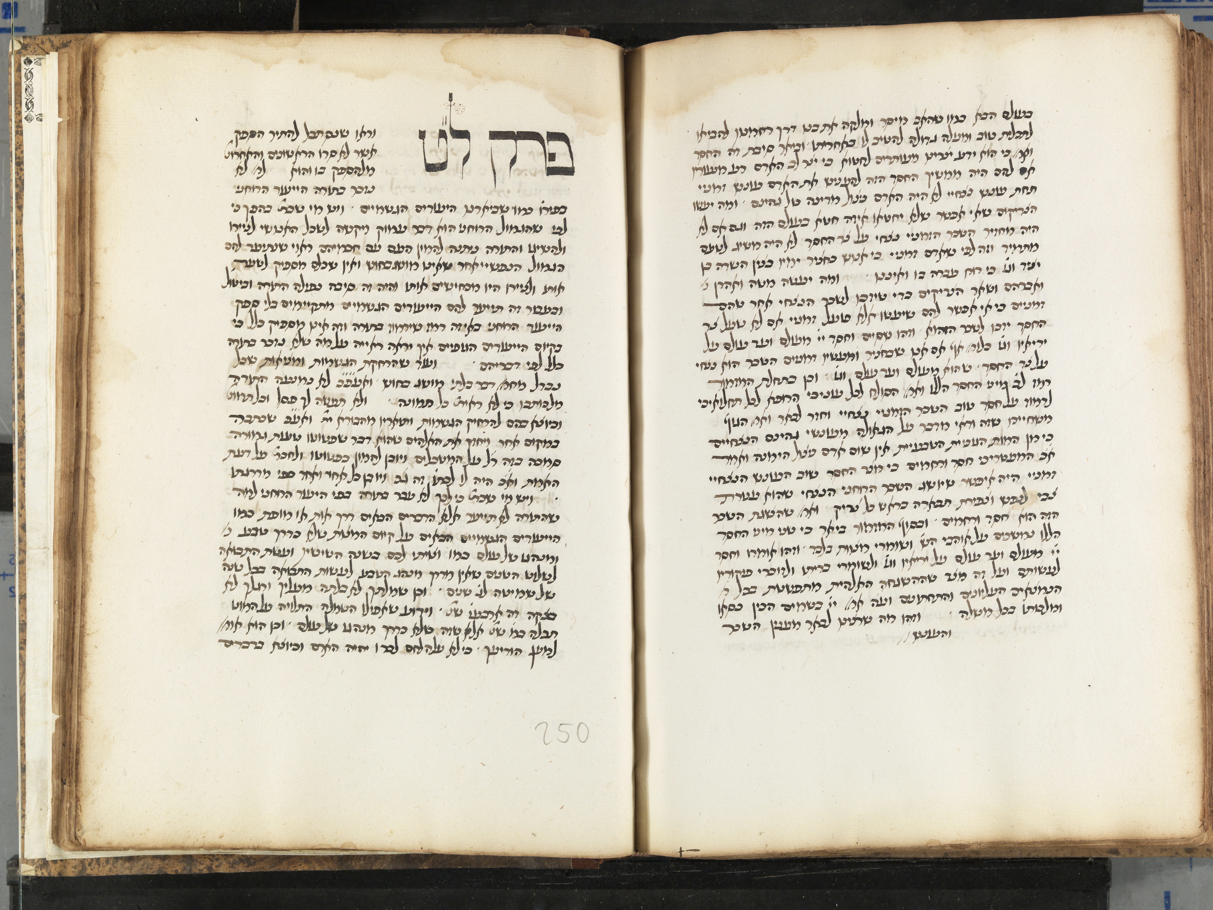 Image of item, e.g. a manuscript page