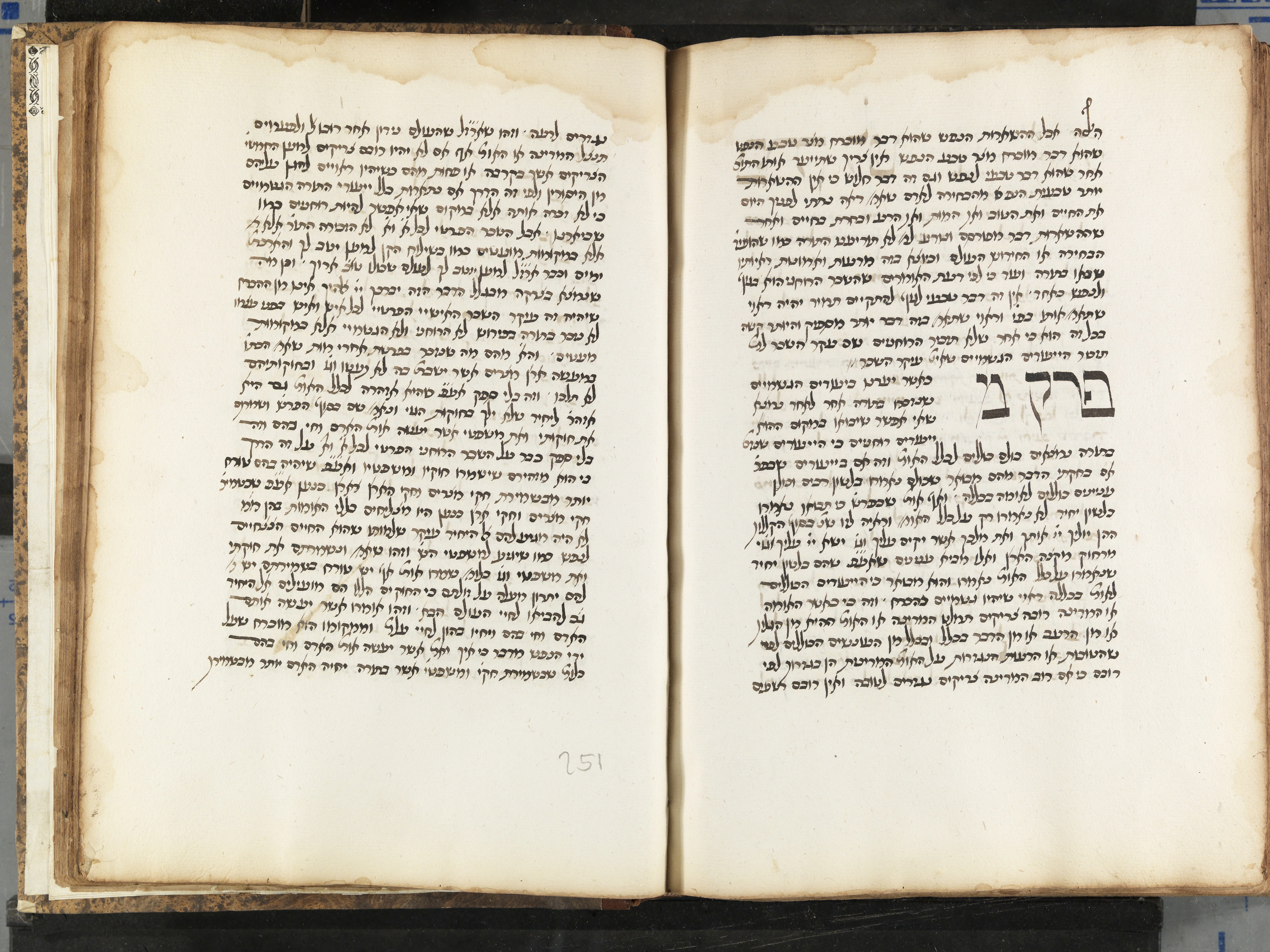 Image of item, e.g. a manuscript page
