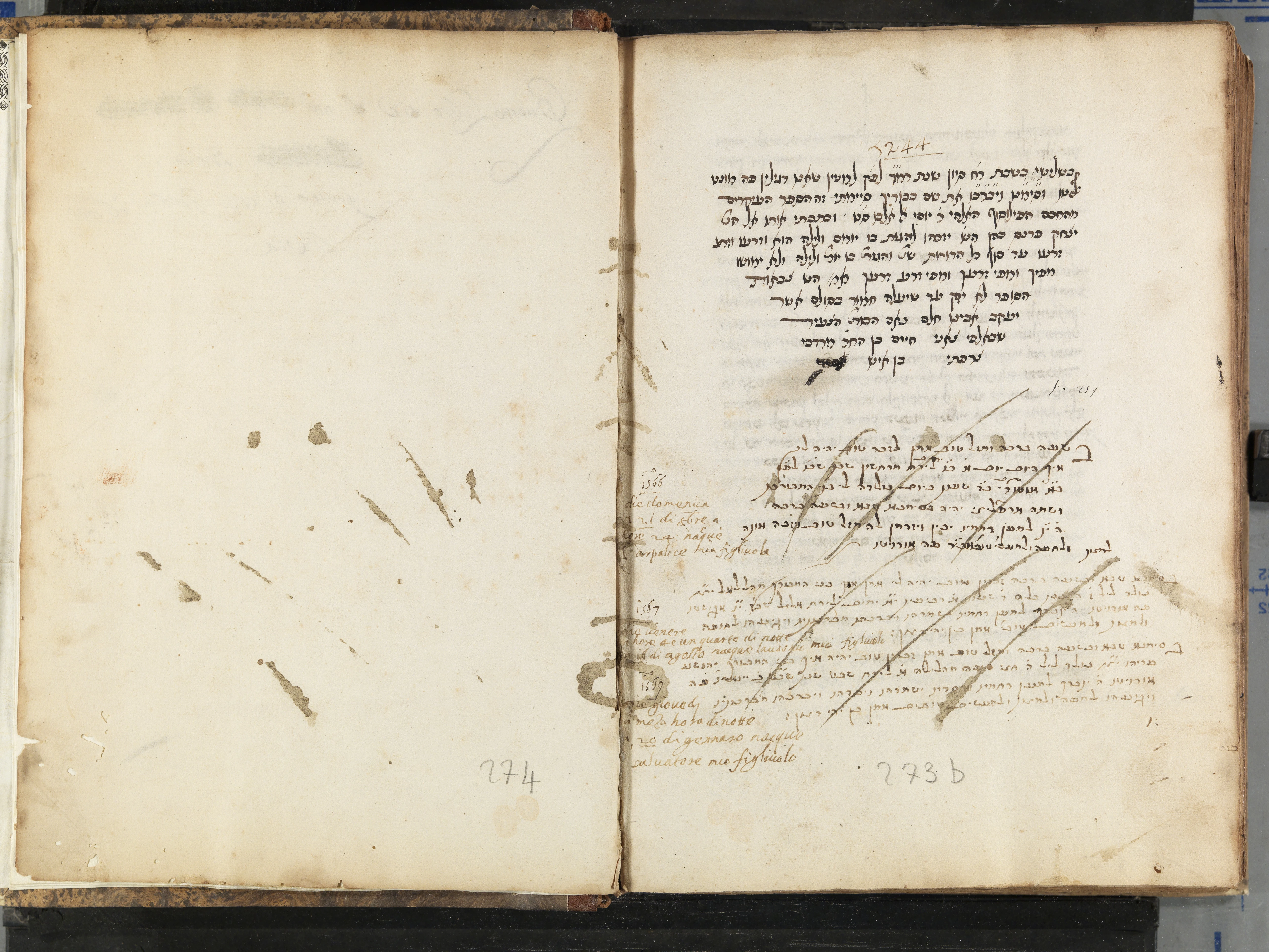 Image of item, e.g. a manuscript page