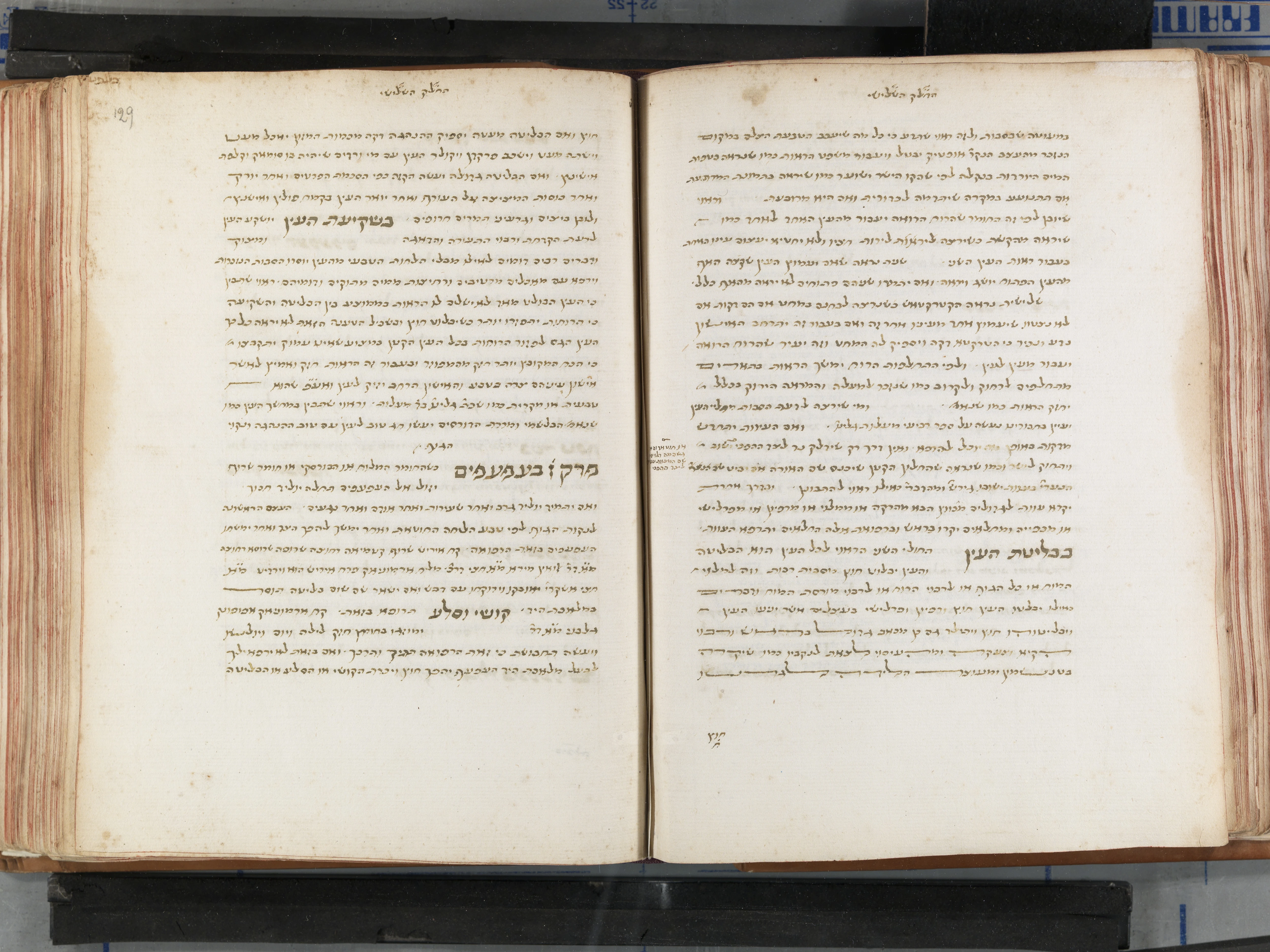 Image of item, e.g. a manuscript page