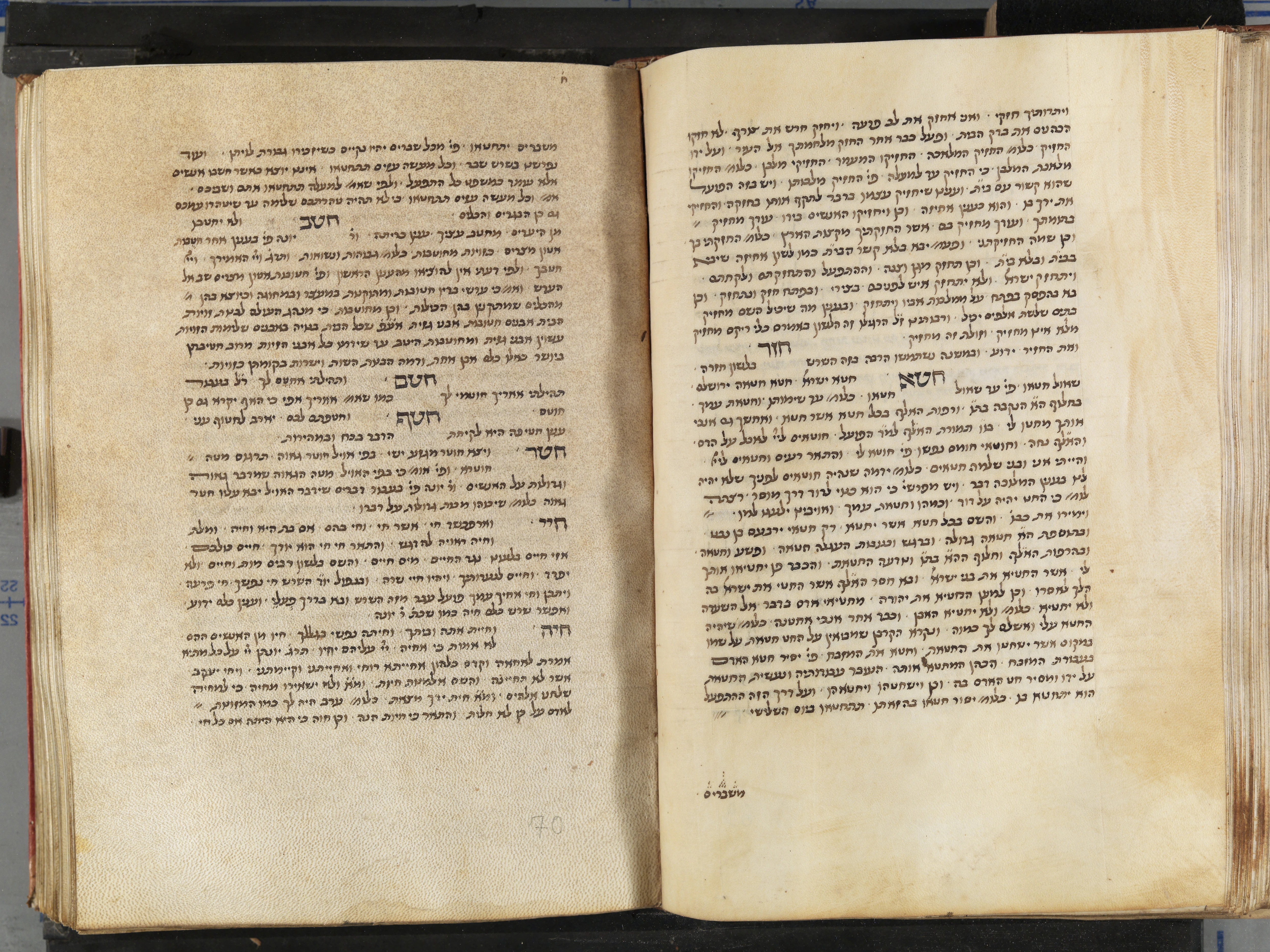 Image of item, e.g. a manuscript page