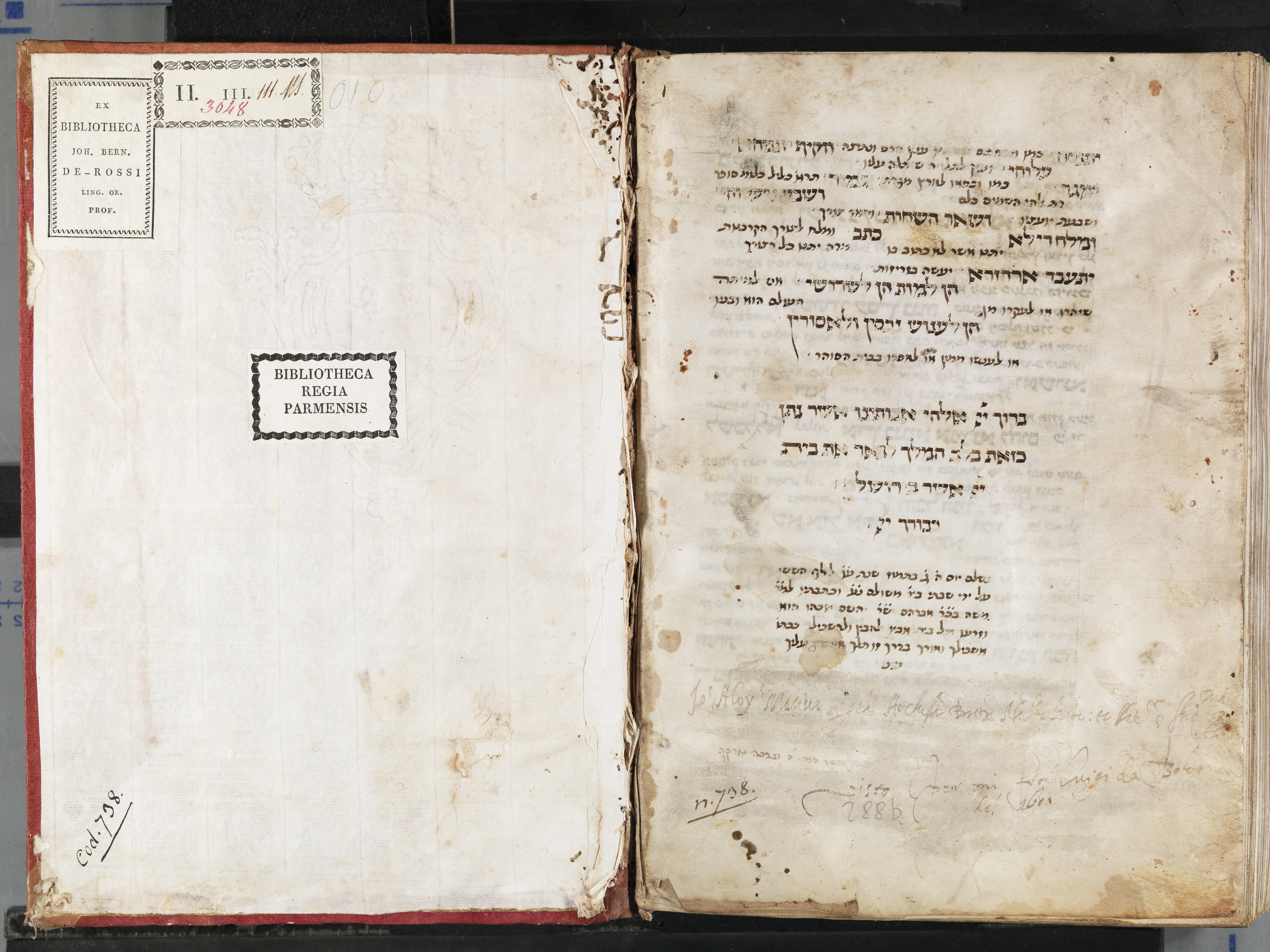 Image of item, e.g. a manuscript page
