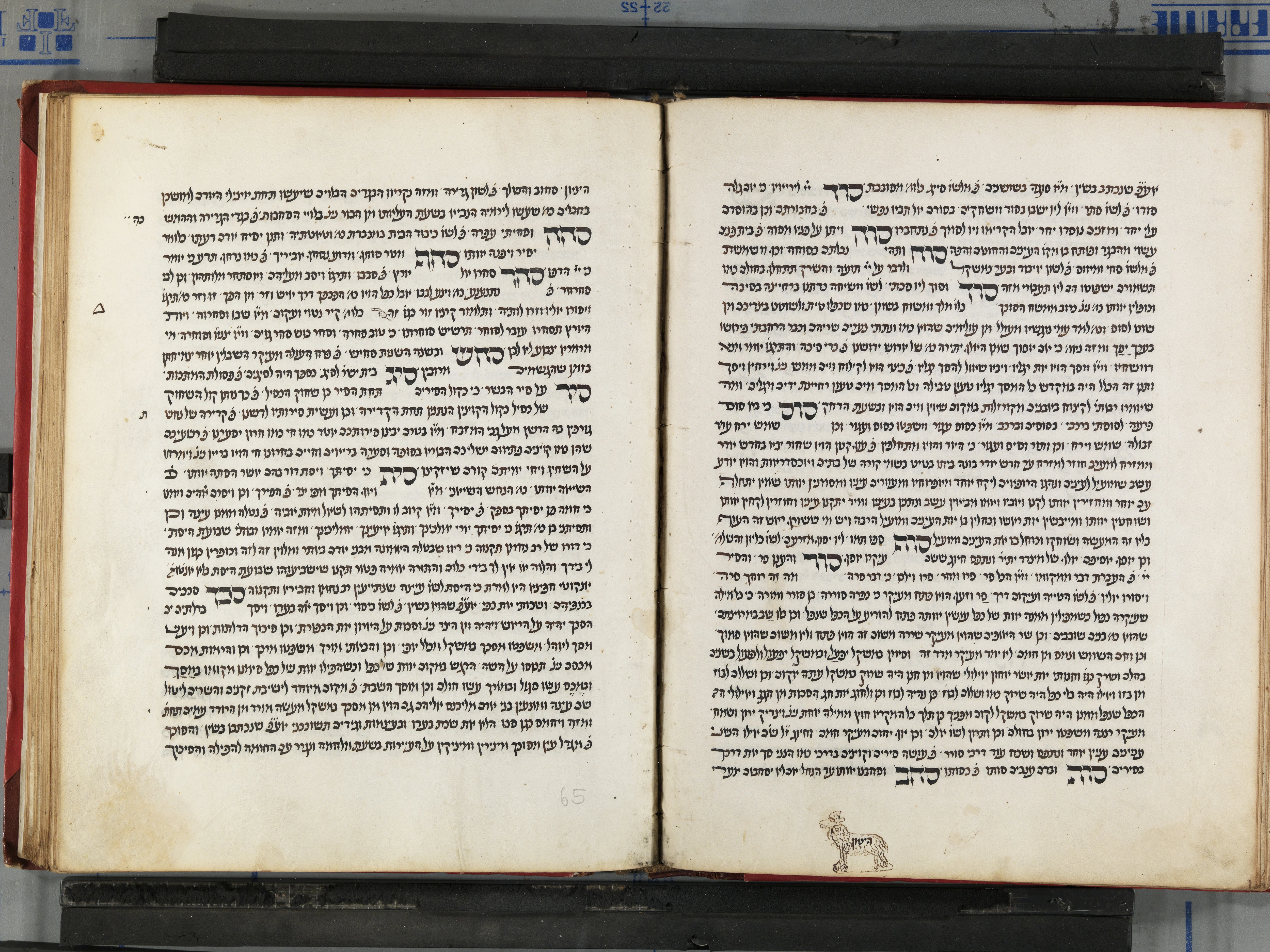 Image of item, e.g. a manuscript page