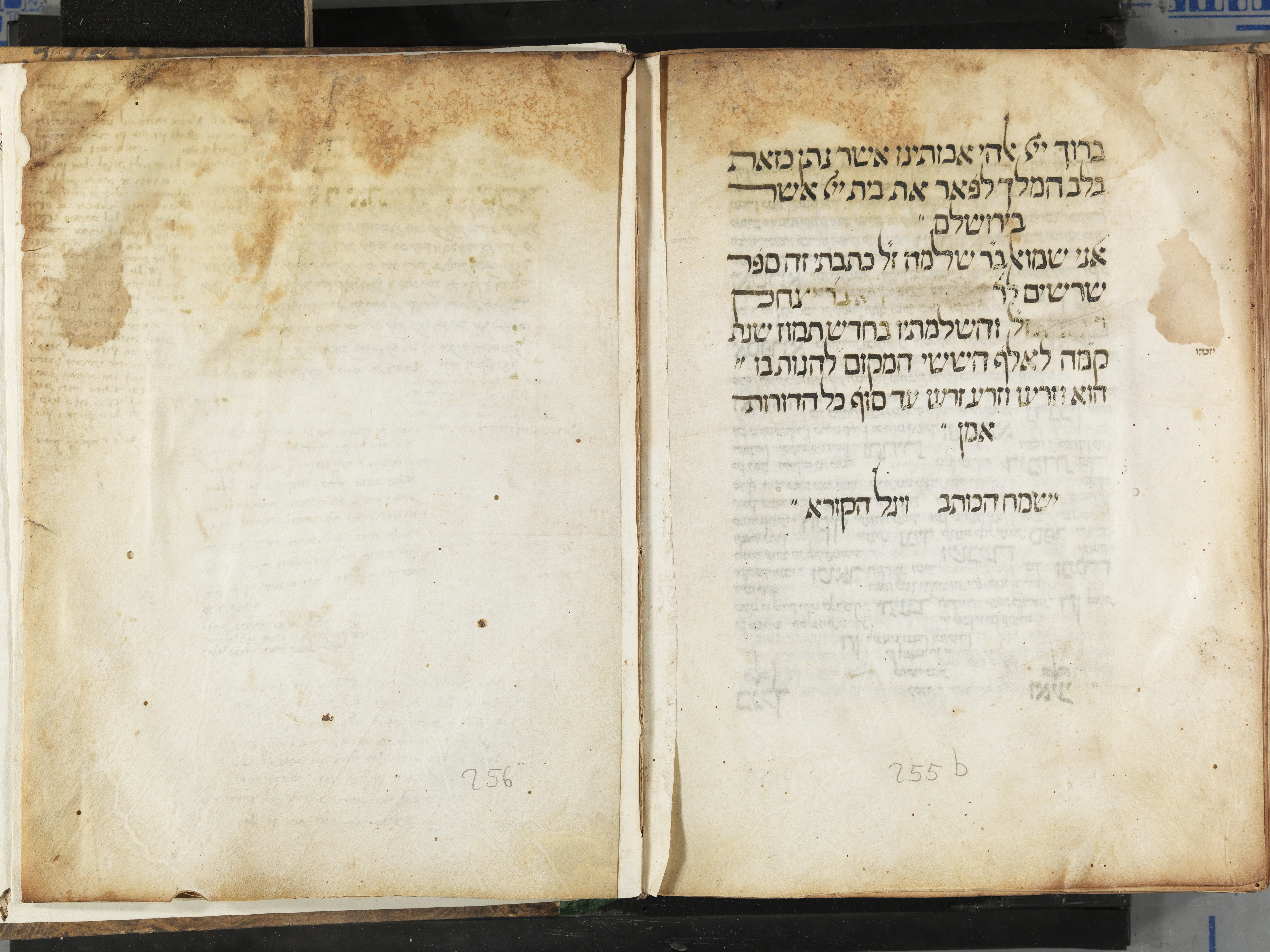 Image of item, e.g. a manuscript page