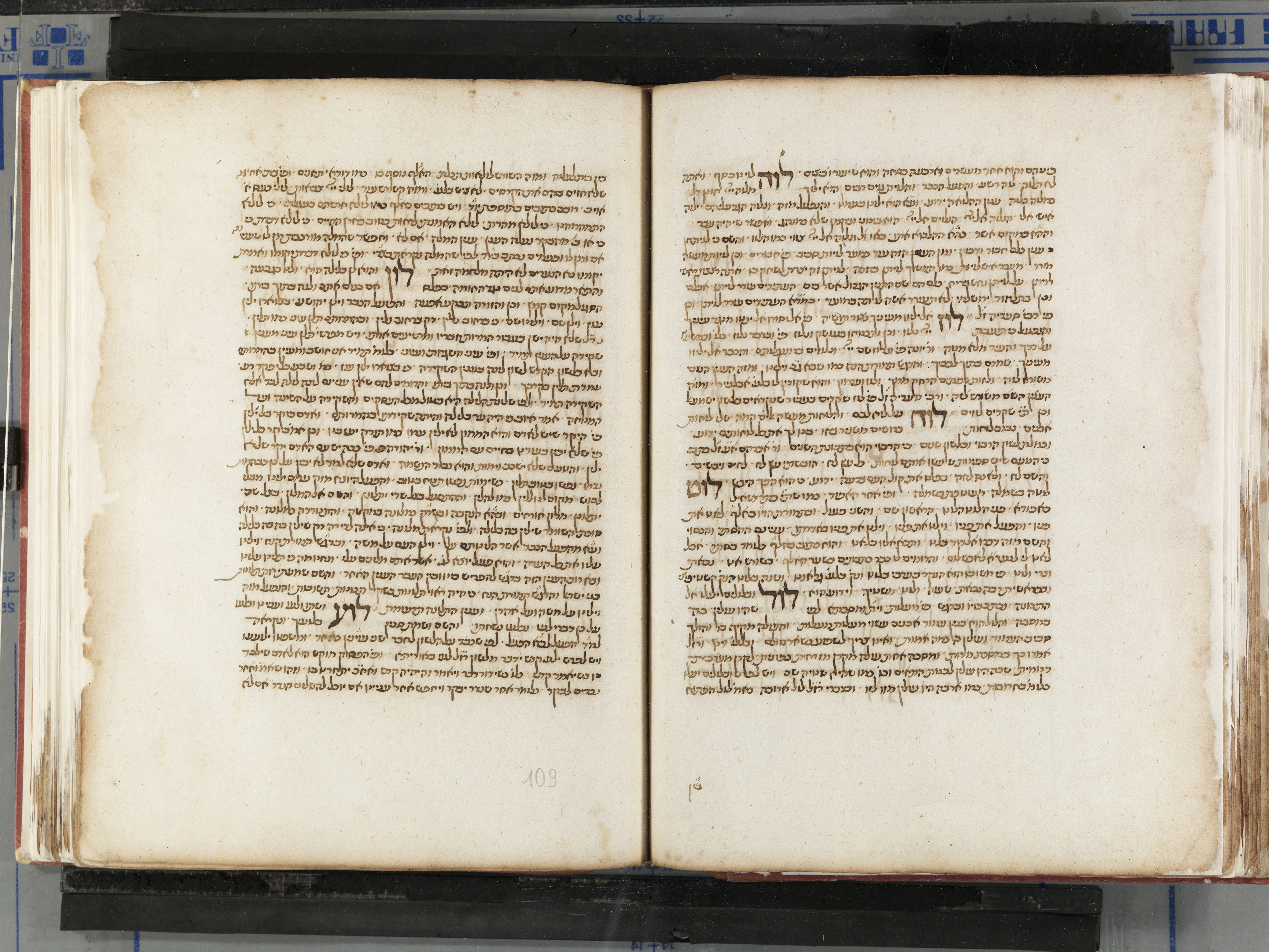 Image of item, e.g. a manuscript page