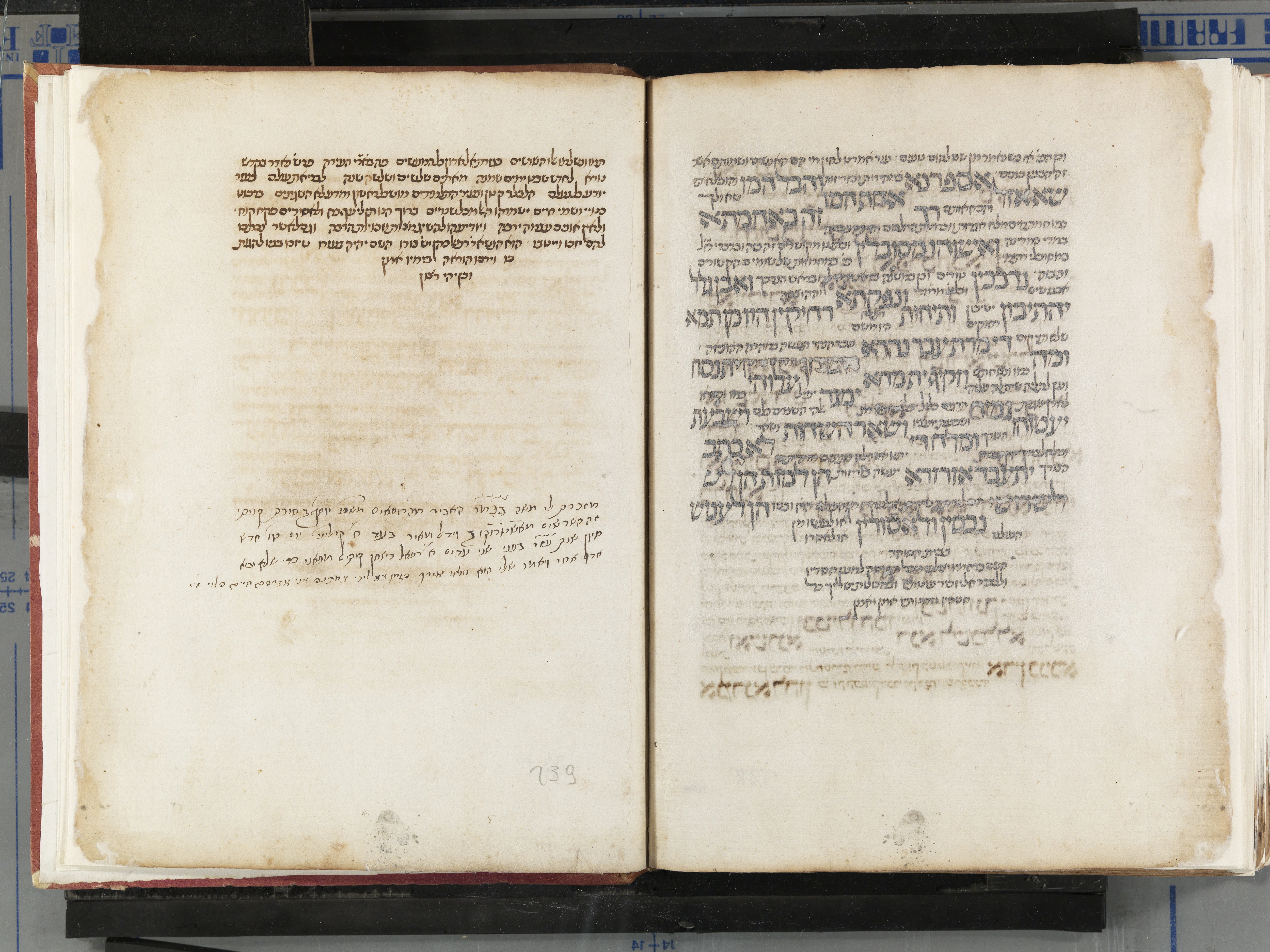 Image of item, e.g. a manuscript page