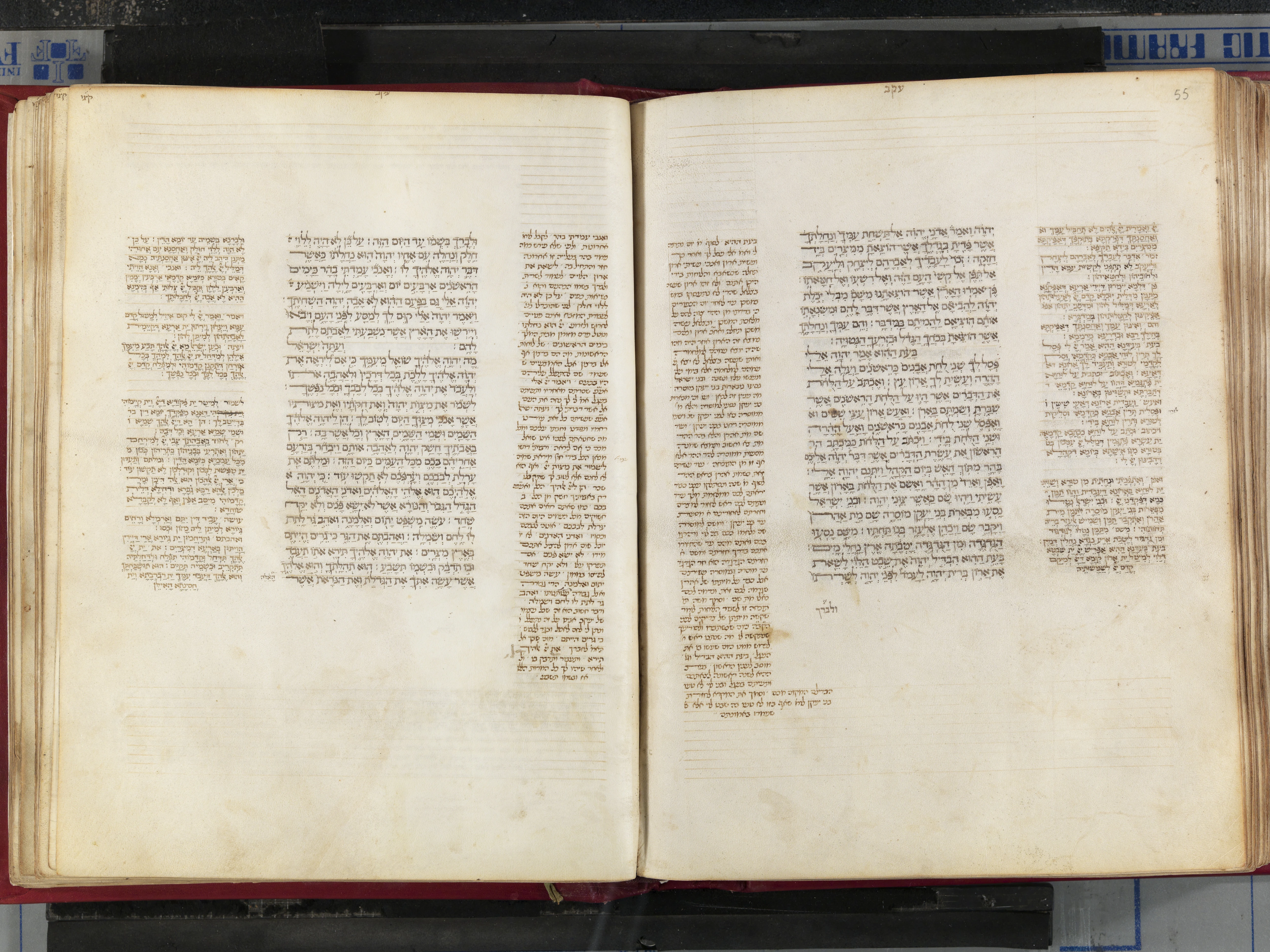 Image of item, e.g. a manuscript page