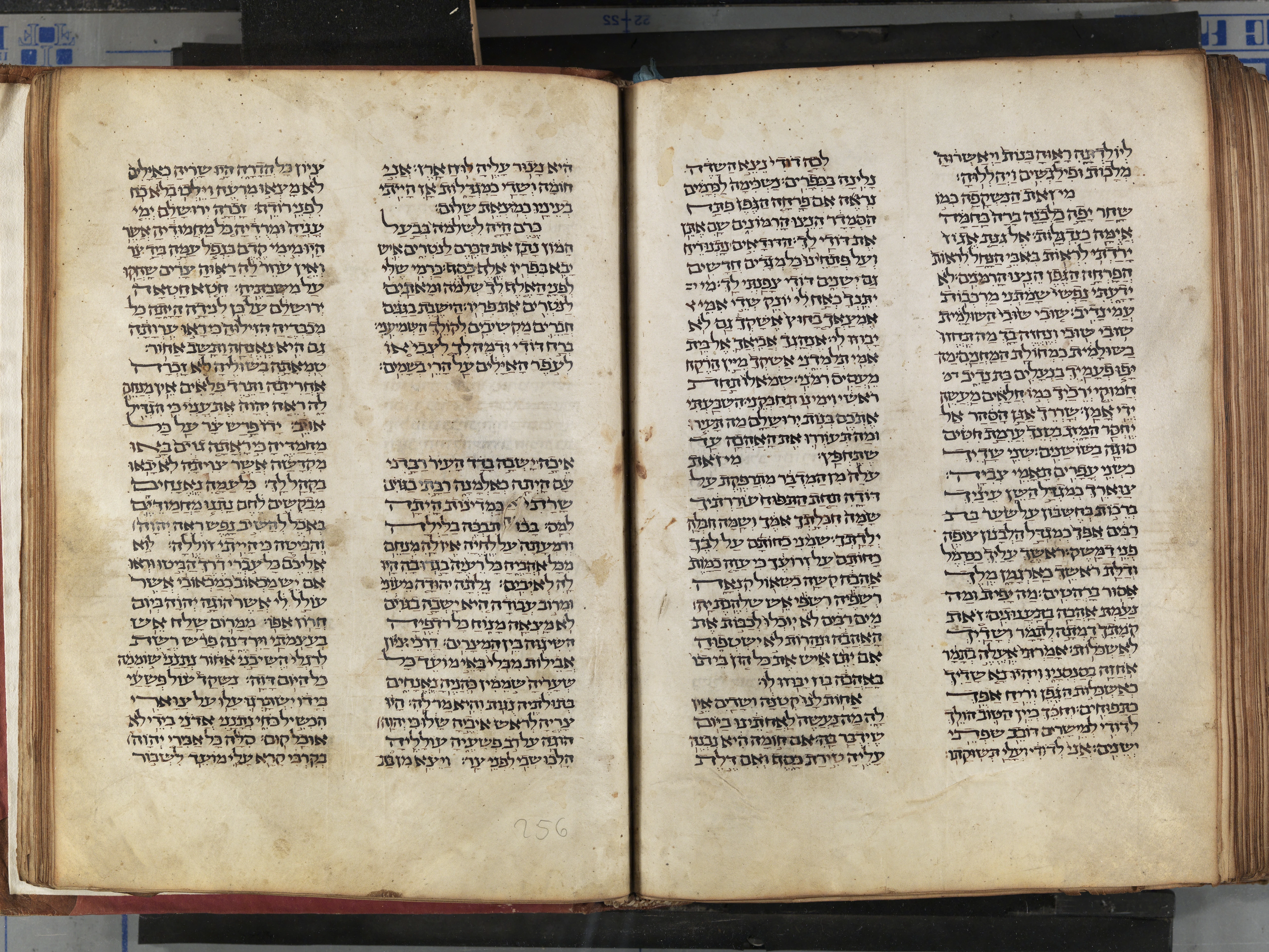 Image of item, e.g. a manuscript page