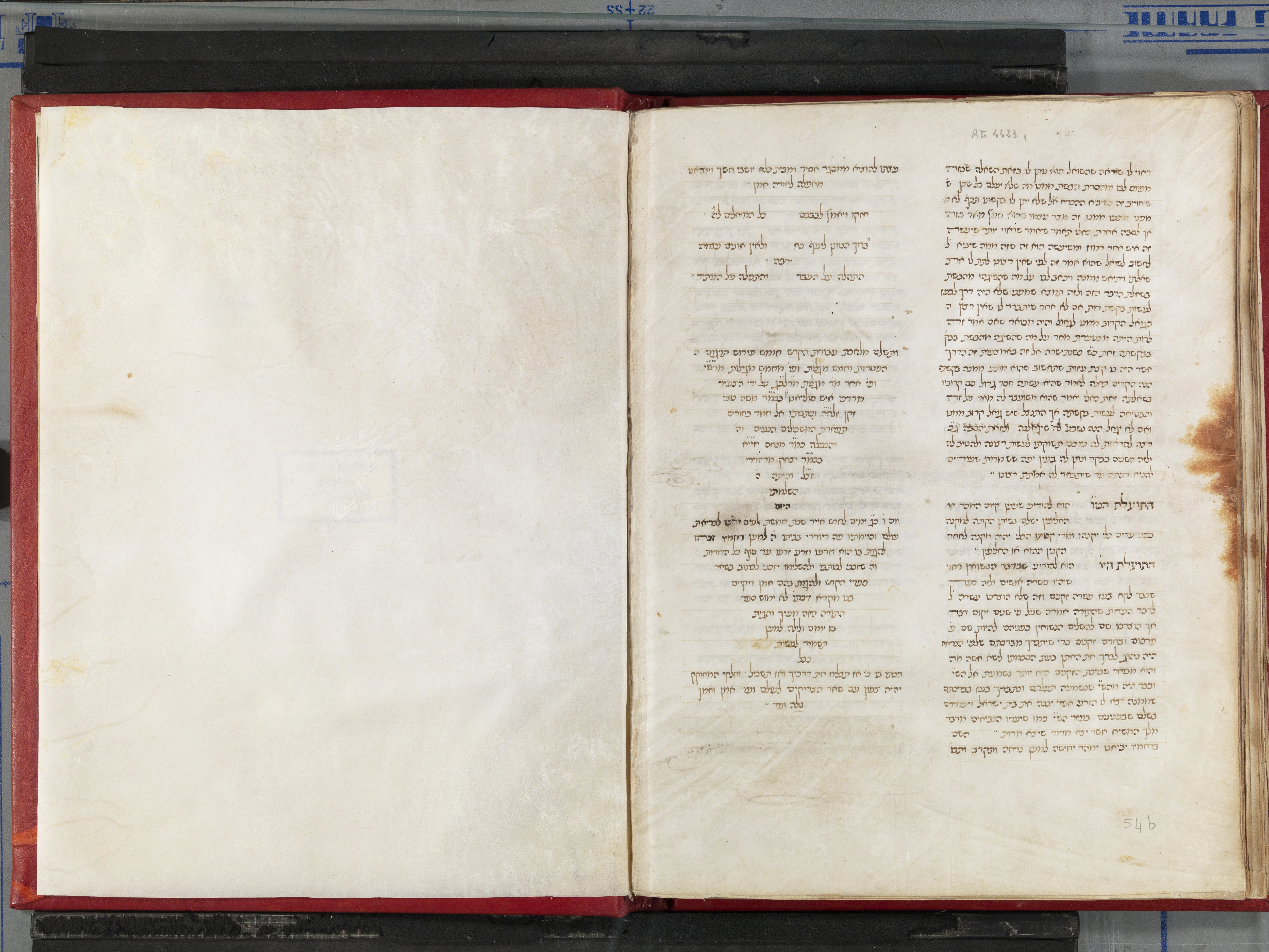 Image of item, e.g. a manuscript page