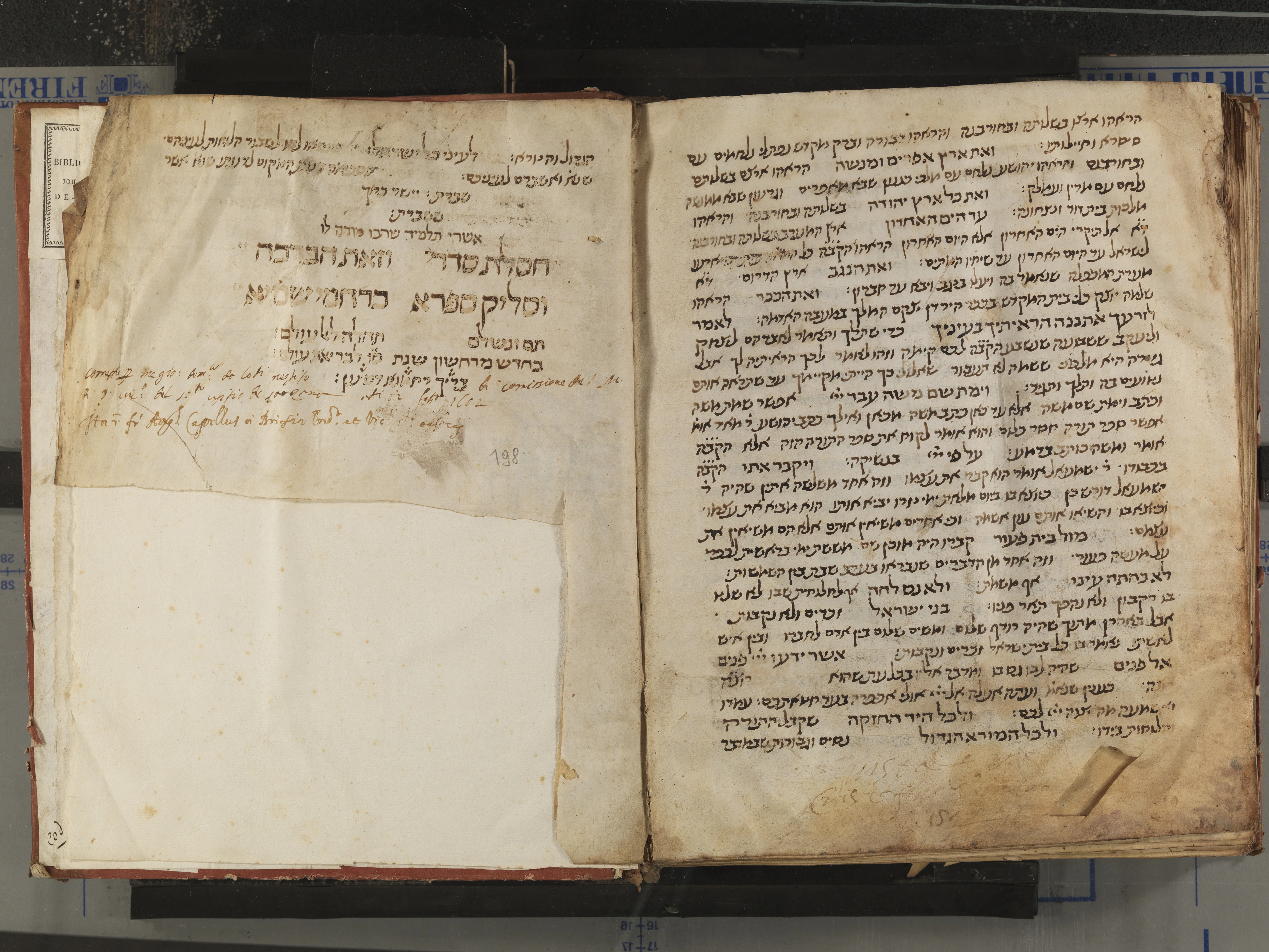 Image of item, e.g. a manuscript page