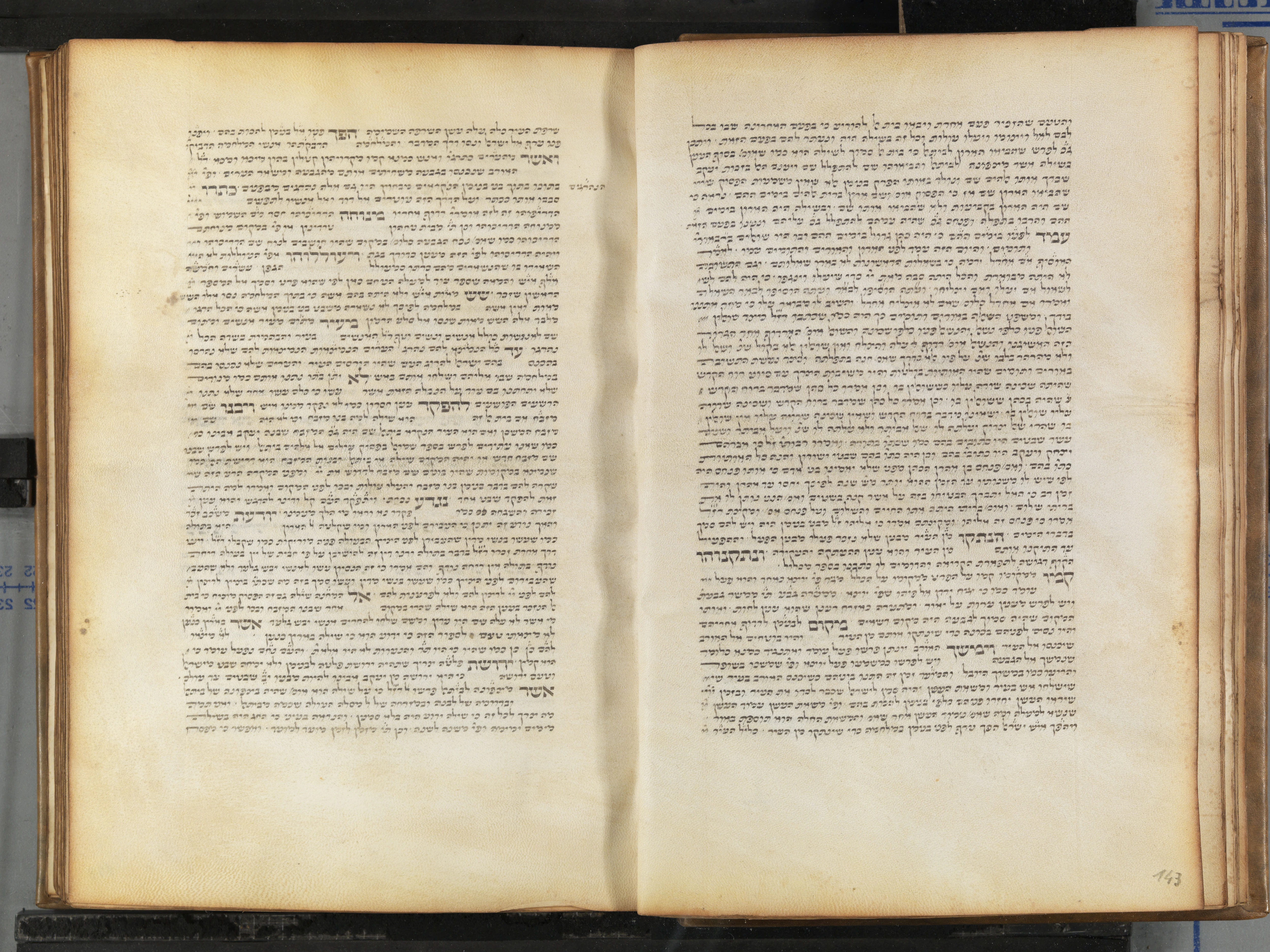 Image of item, e.g. a manuscript page