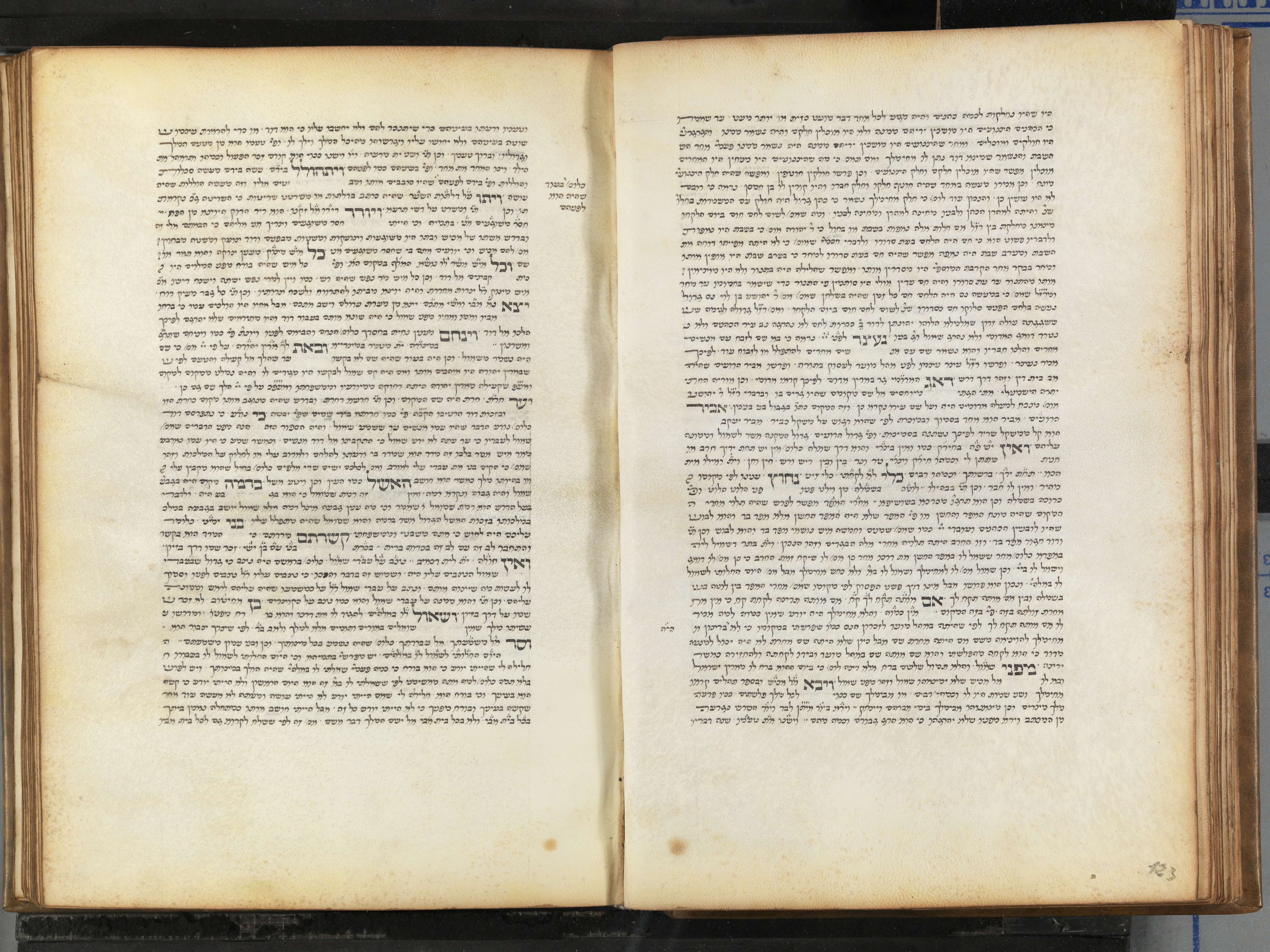 Image of item, e.g. a manuscript page