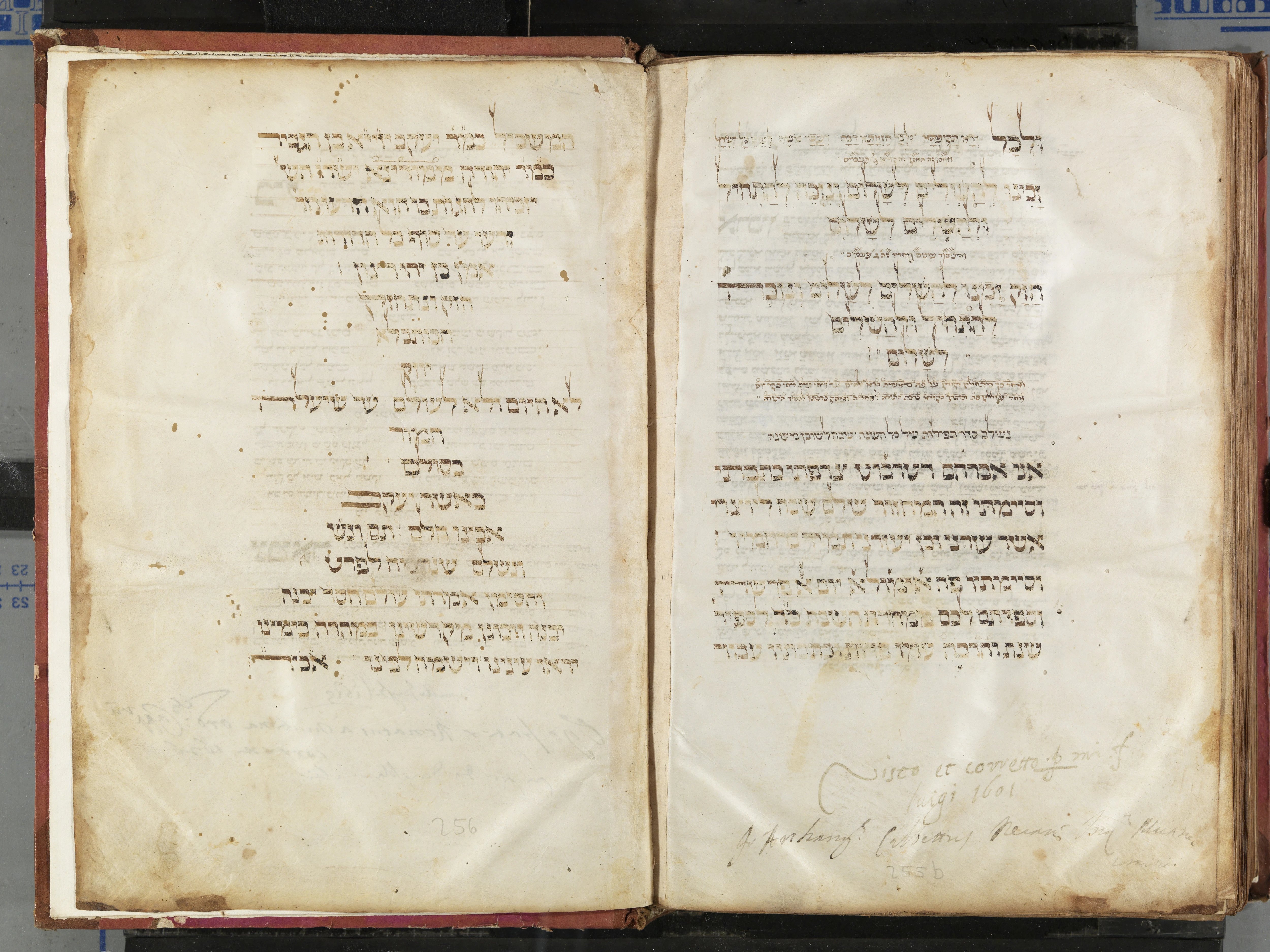 Image of item, e.g. a manuscript page