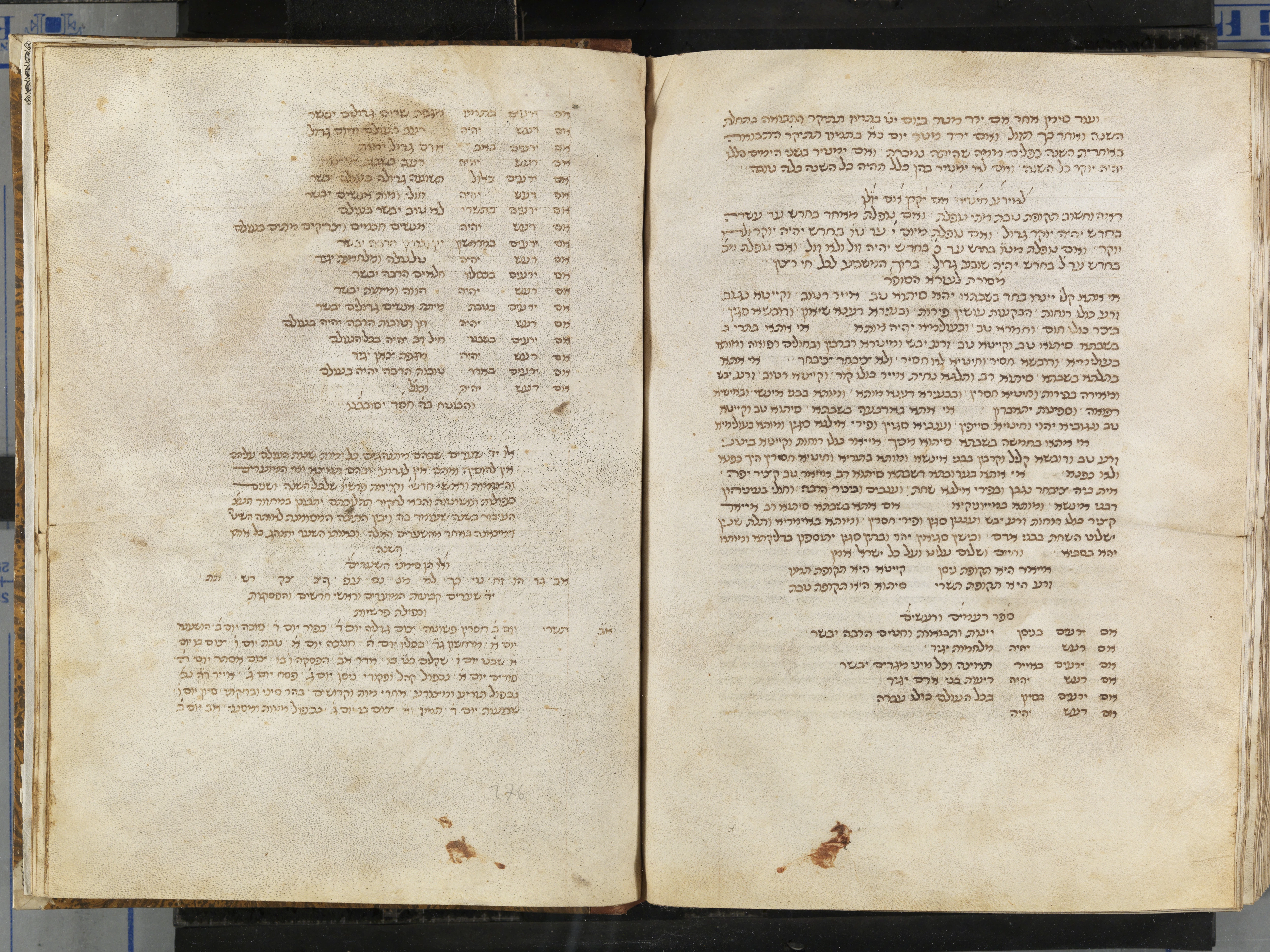 Image of item, e.g. a manuscript page