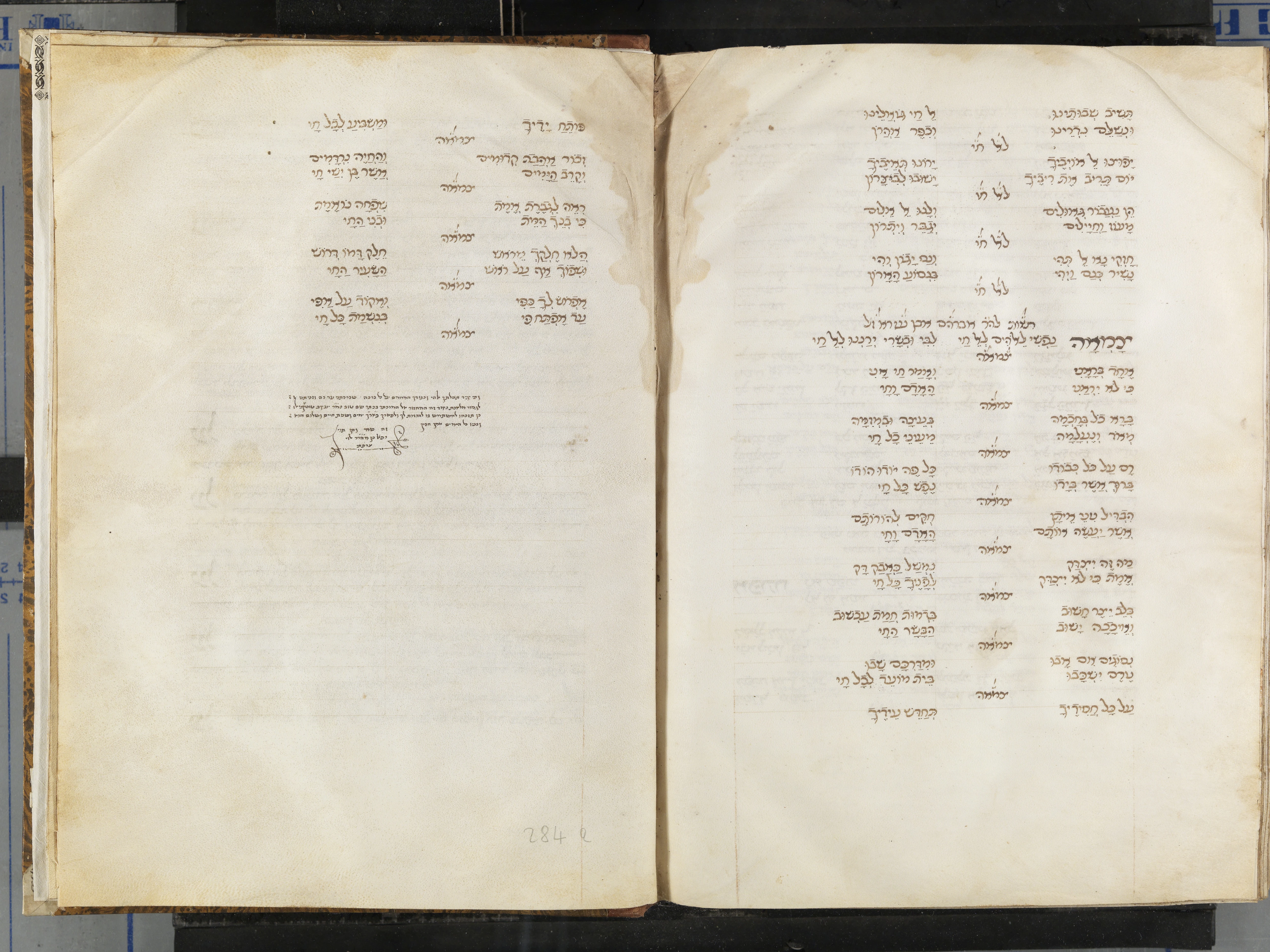 Image of item, e.g. a manuscript page