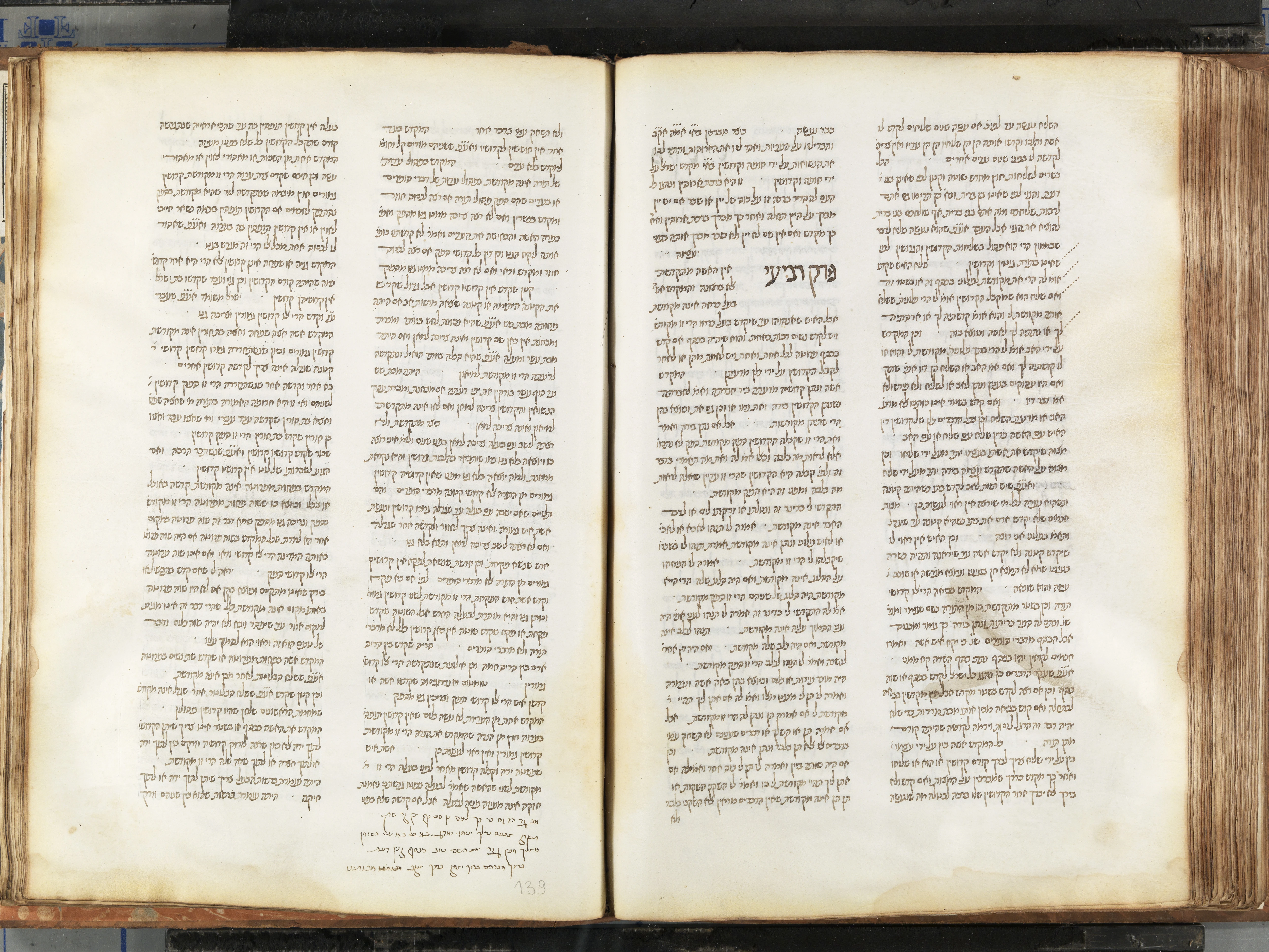 Image of item, e.g. a manuscript page