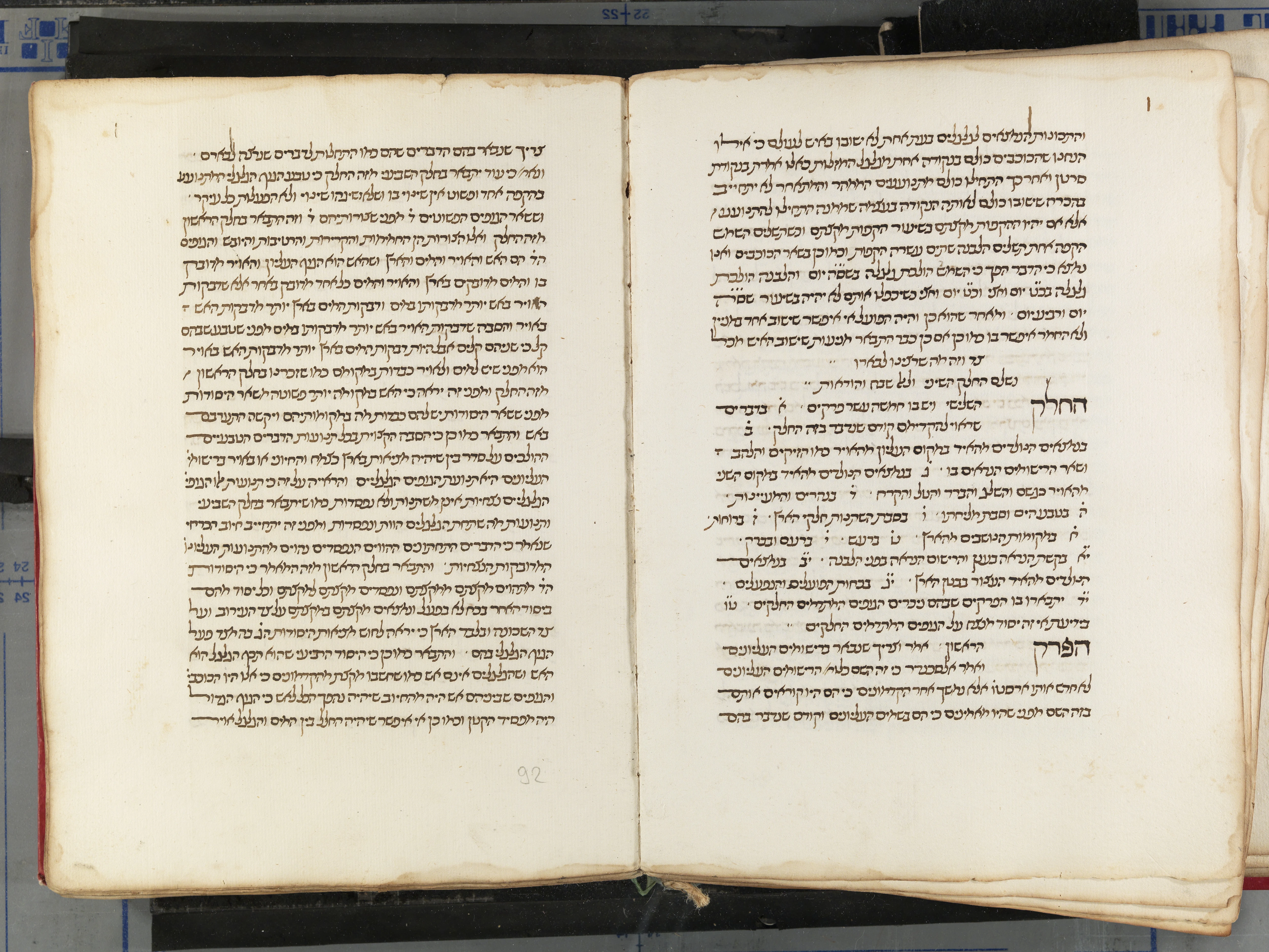 Image of item, e.g. a manuscript page