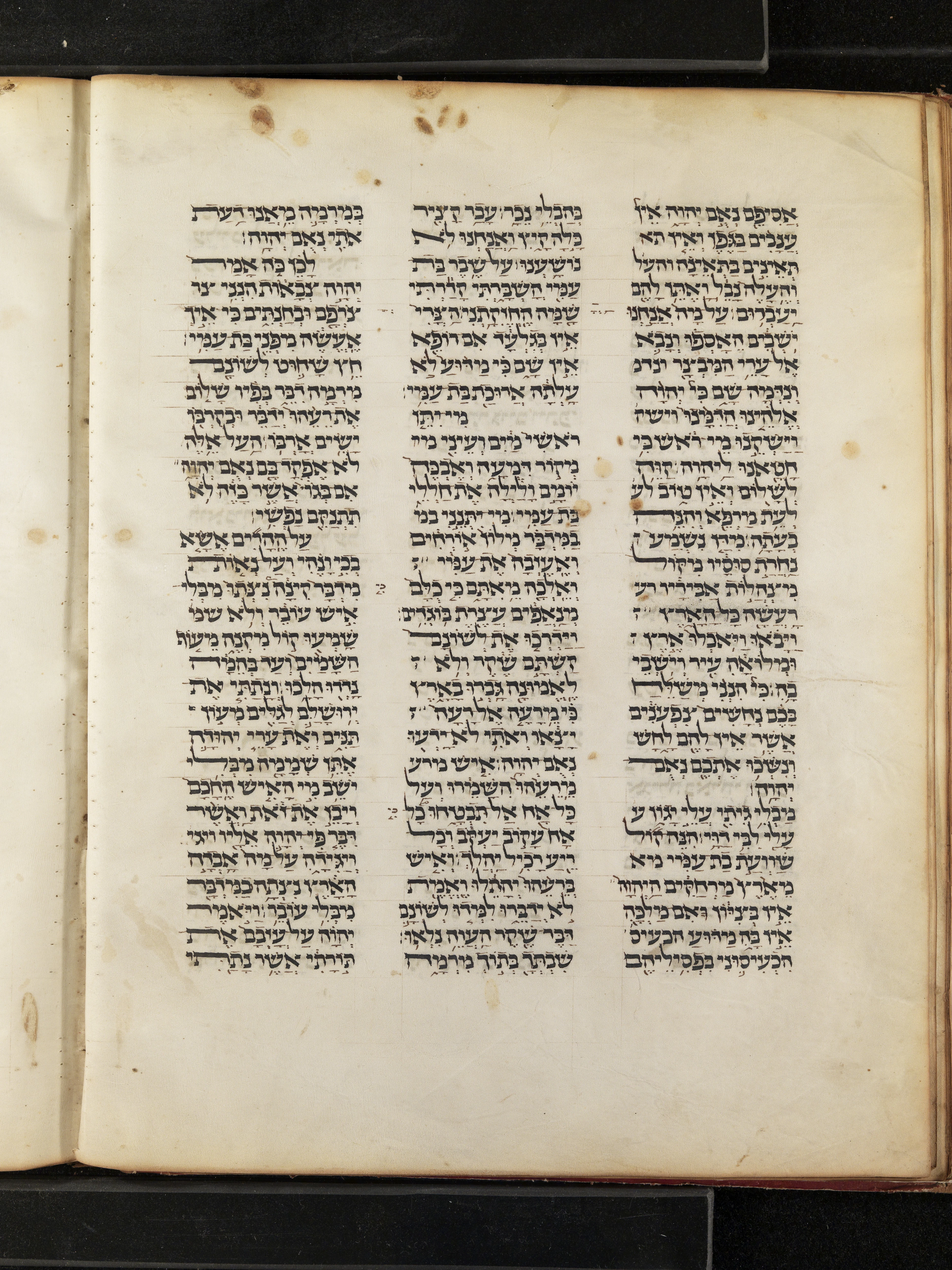 Image of item, e.g. a manuscript page