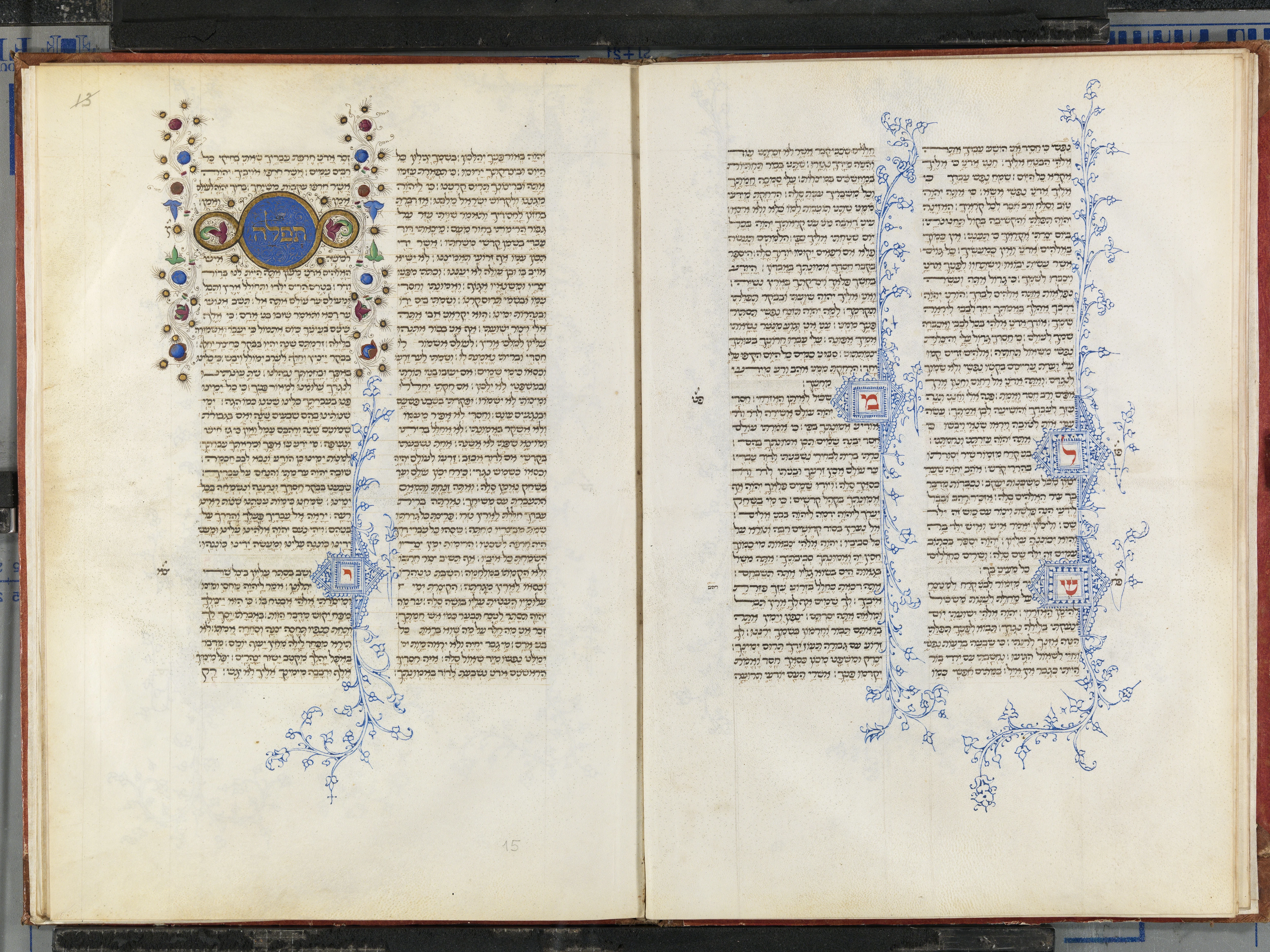 Image of item, e.g. a manuscript page