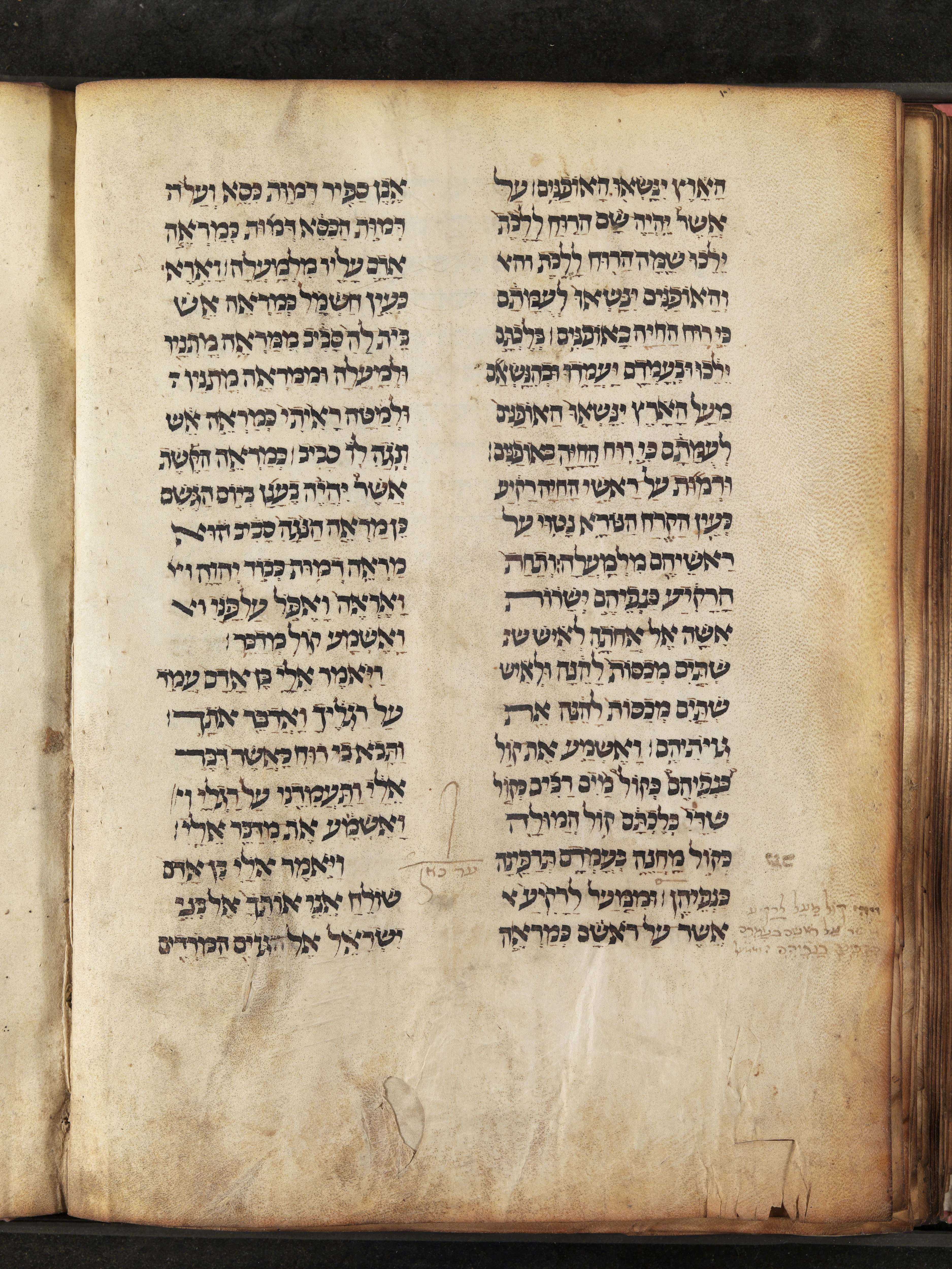 Image of item, e.g. a manuscript page