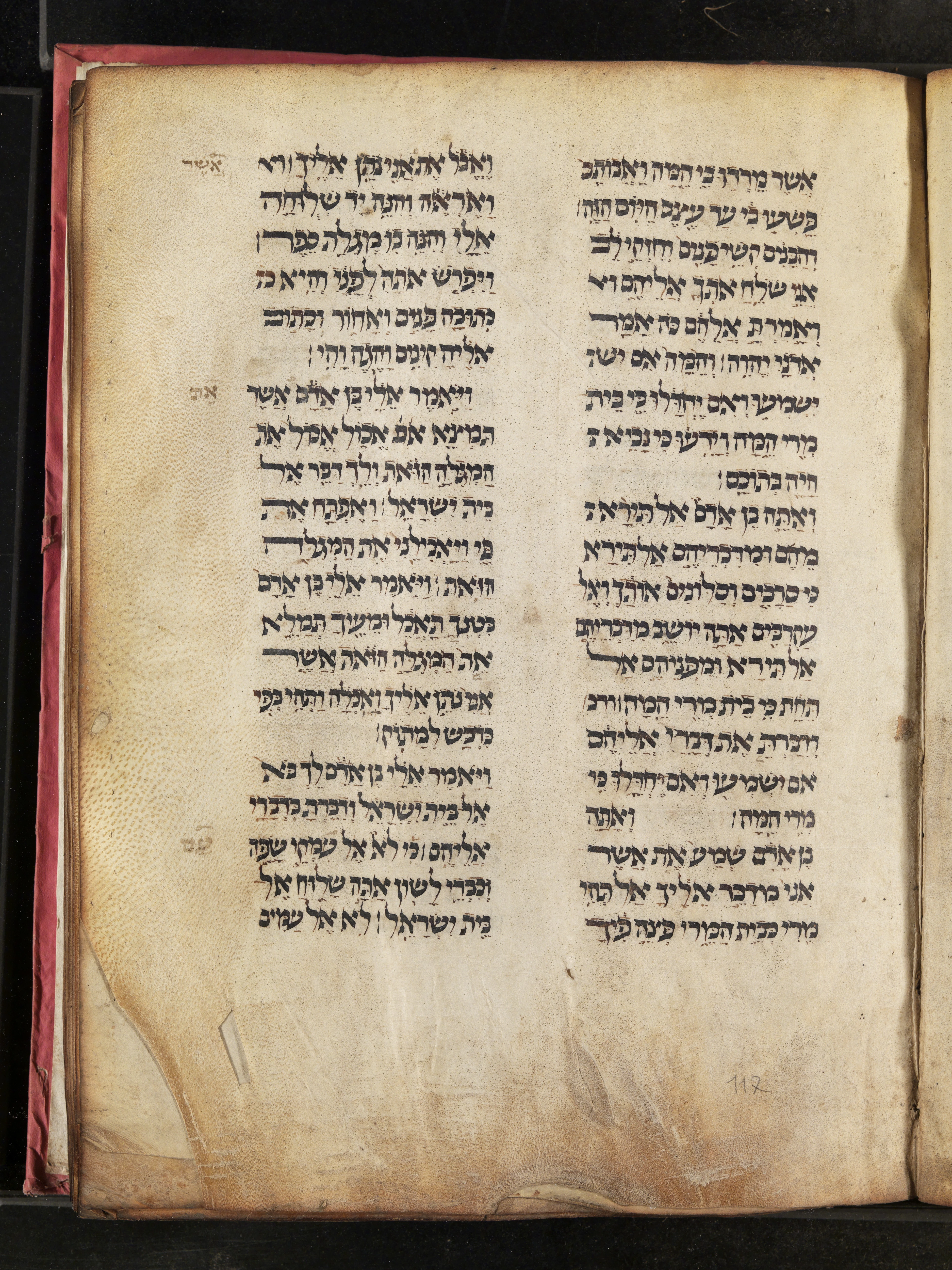 Image of item, e.g. a manuscript page