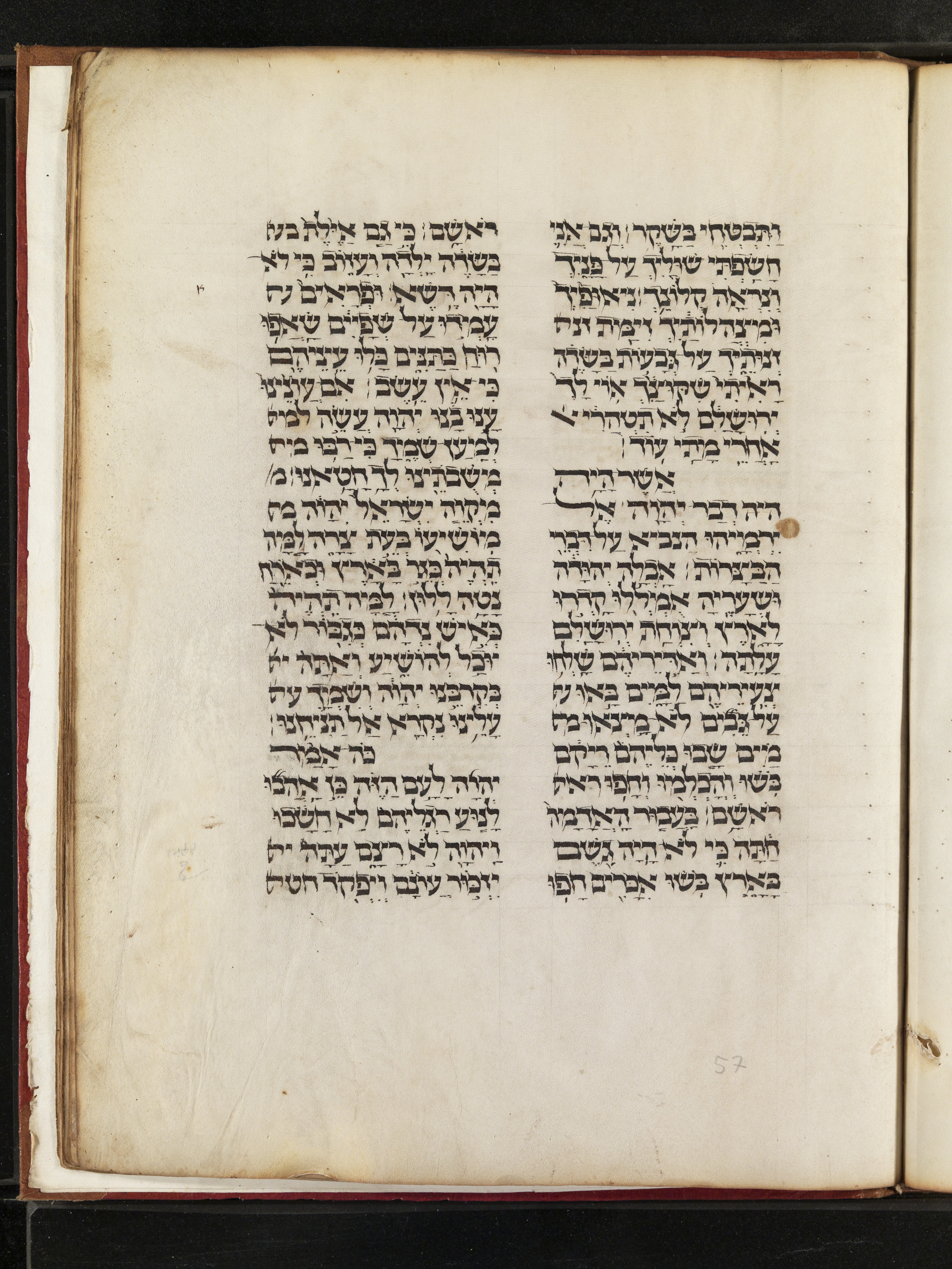 Image of item, e.g. a manuscript page