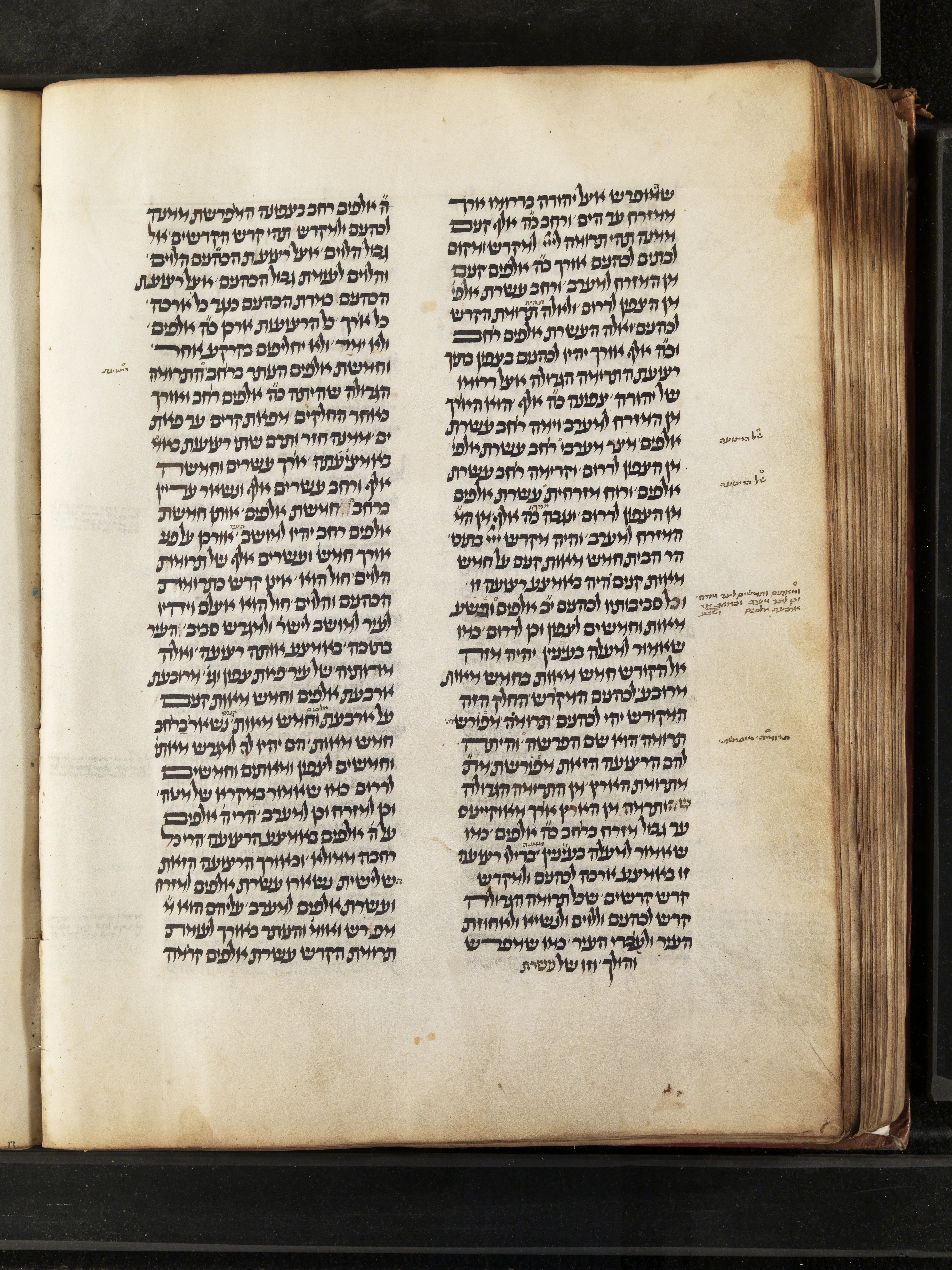 Image of item, e.g. a manuscript page