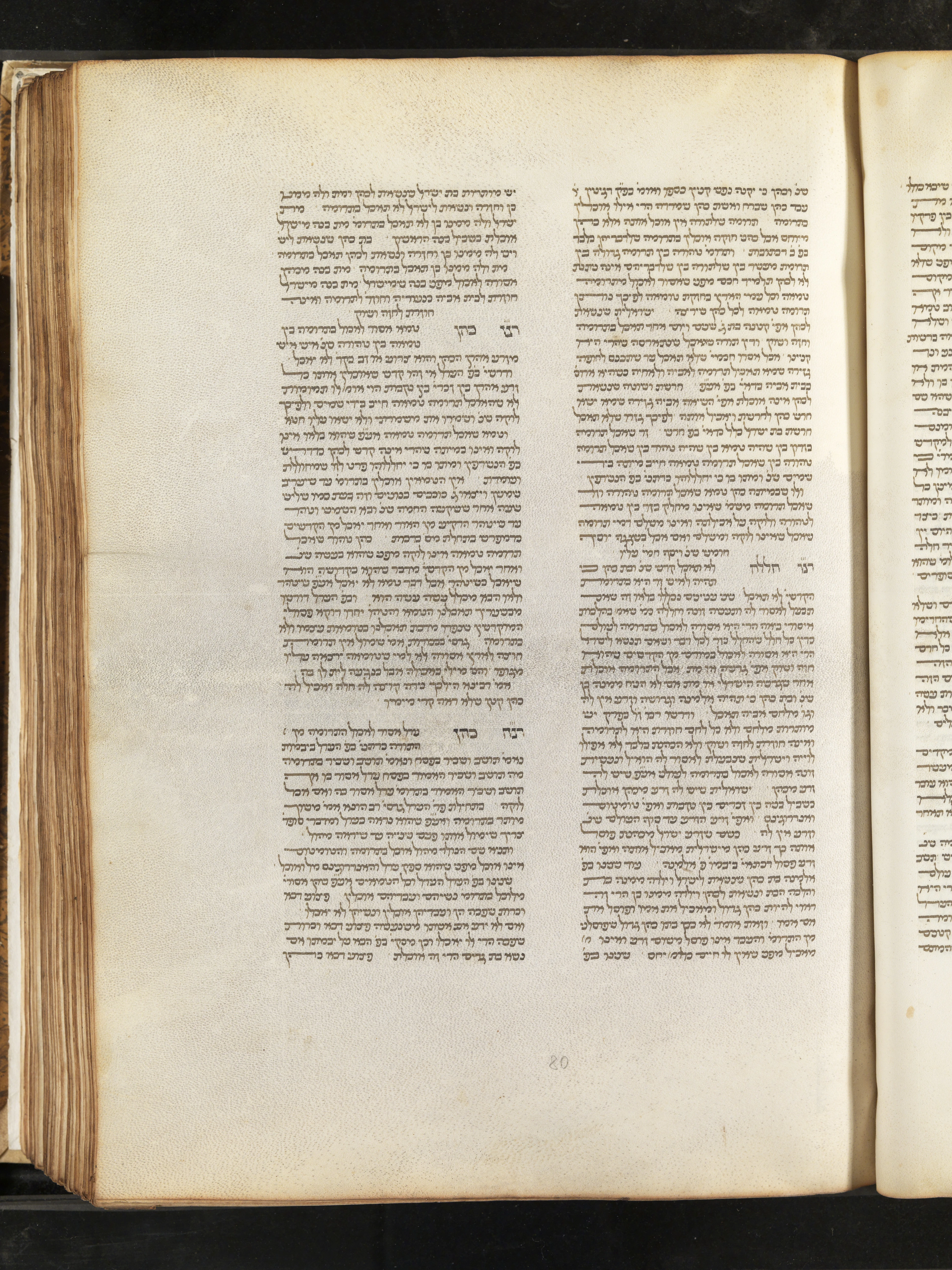 Image of item, e.g. a manuscript page