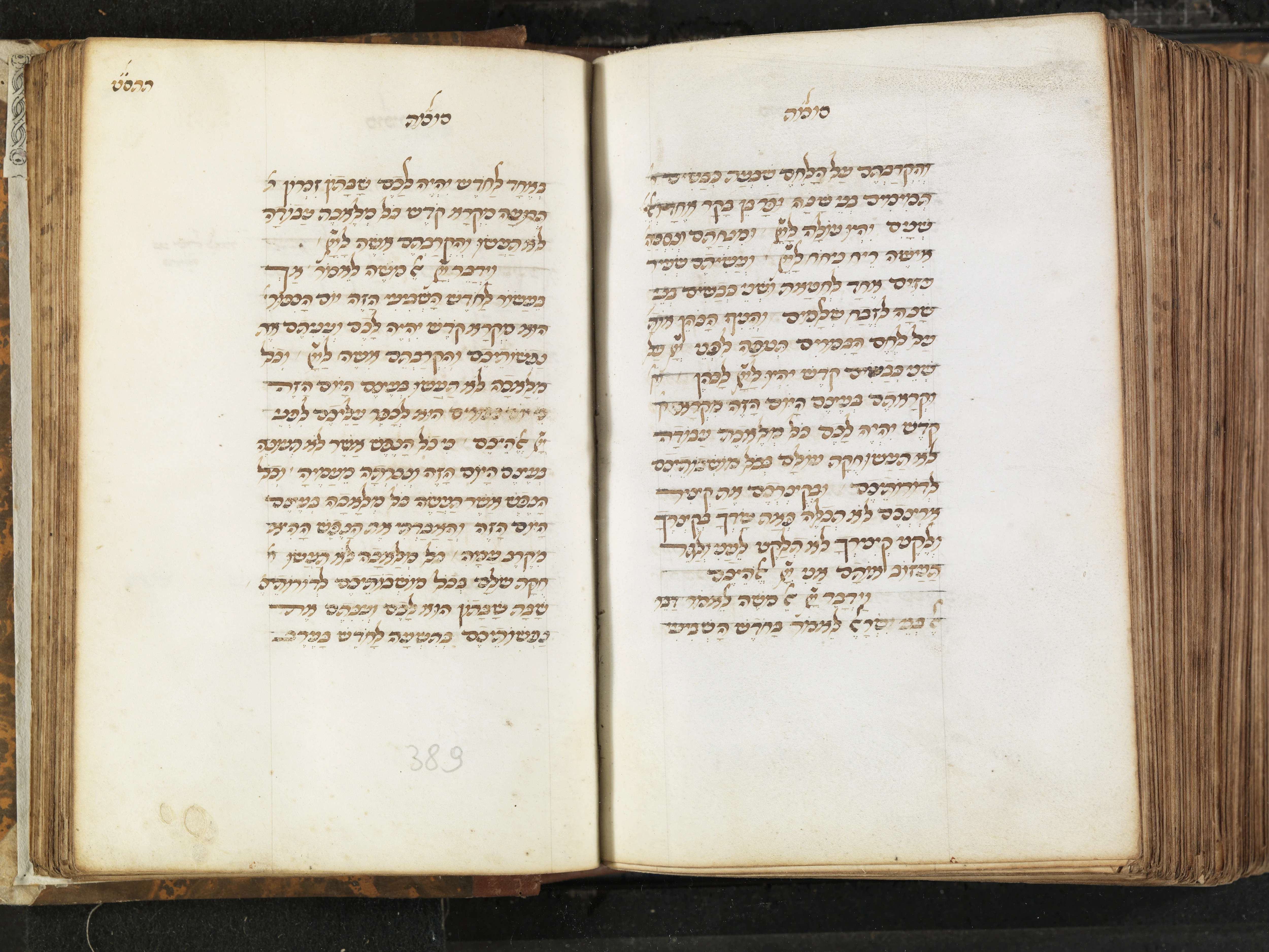 Image of item, e.g. a manuscript page