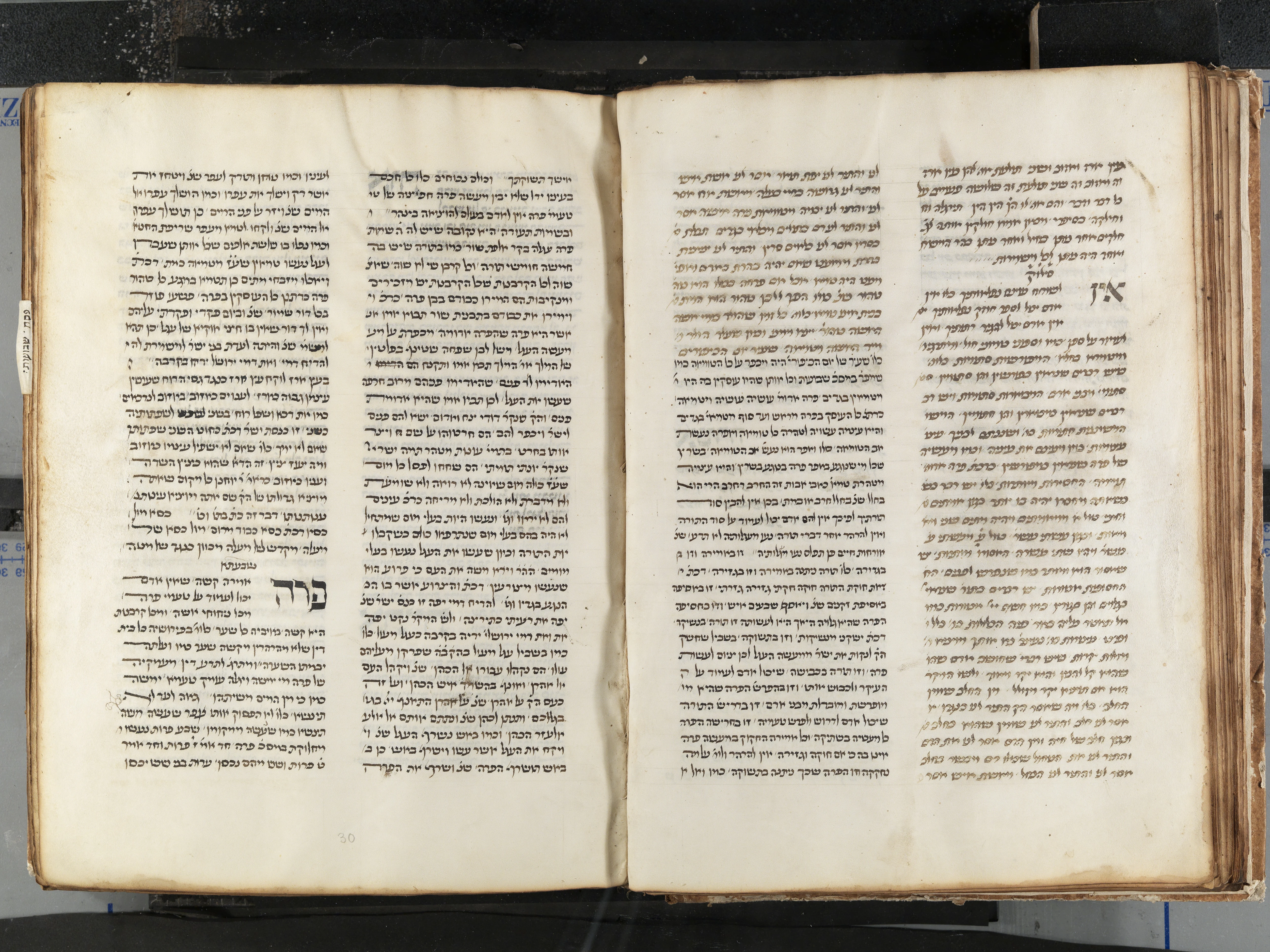 Image of item, e.g. a manuscript page