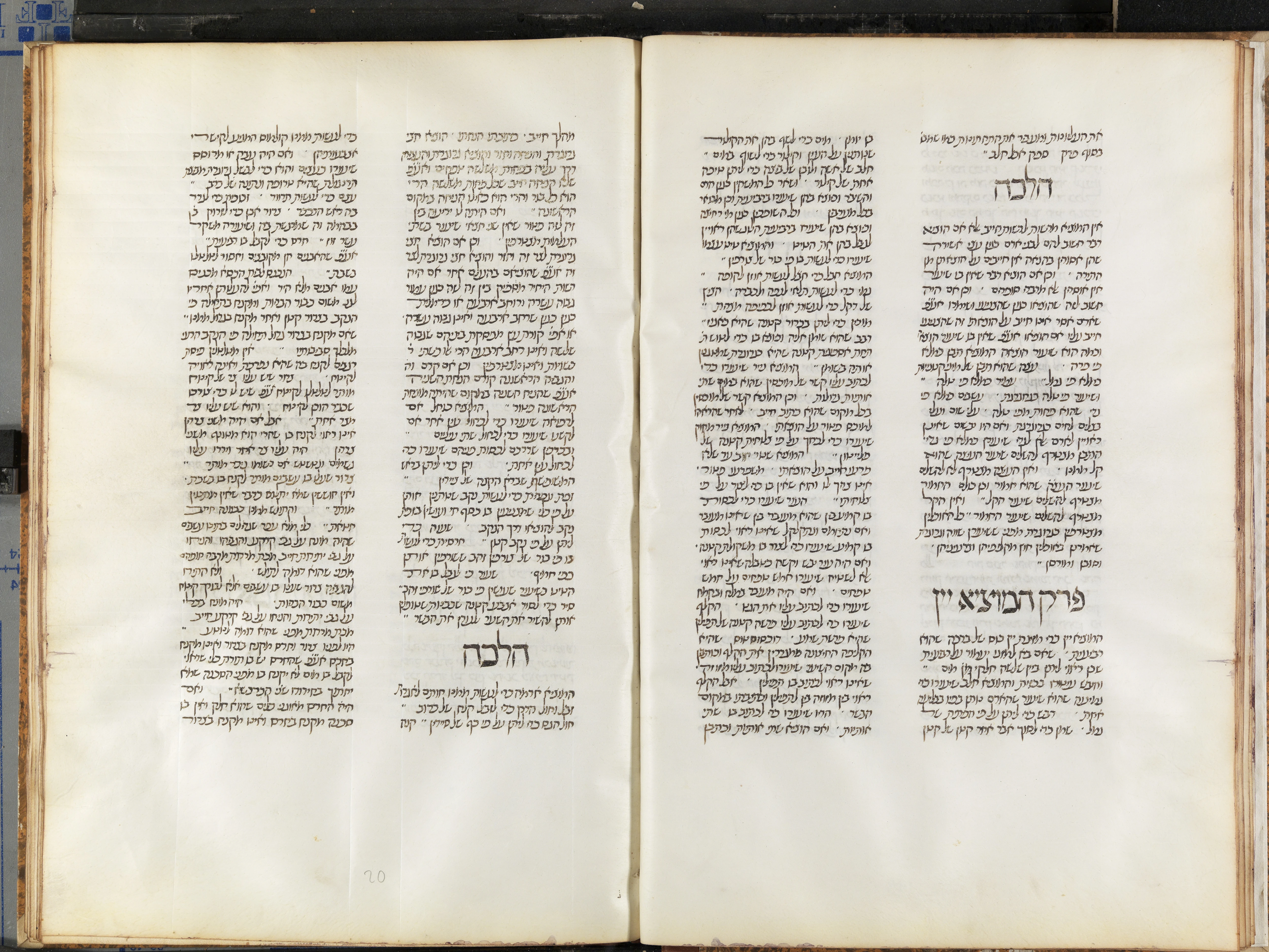 Image of item, e.g. a manuscript page